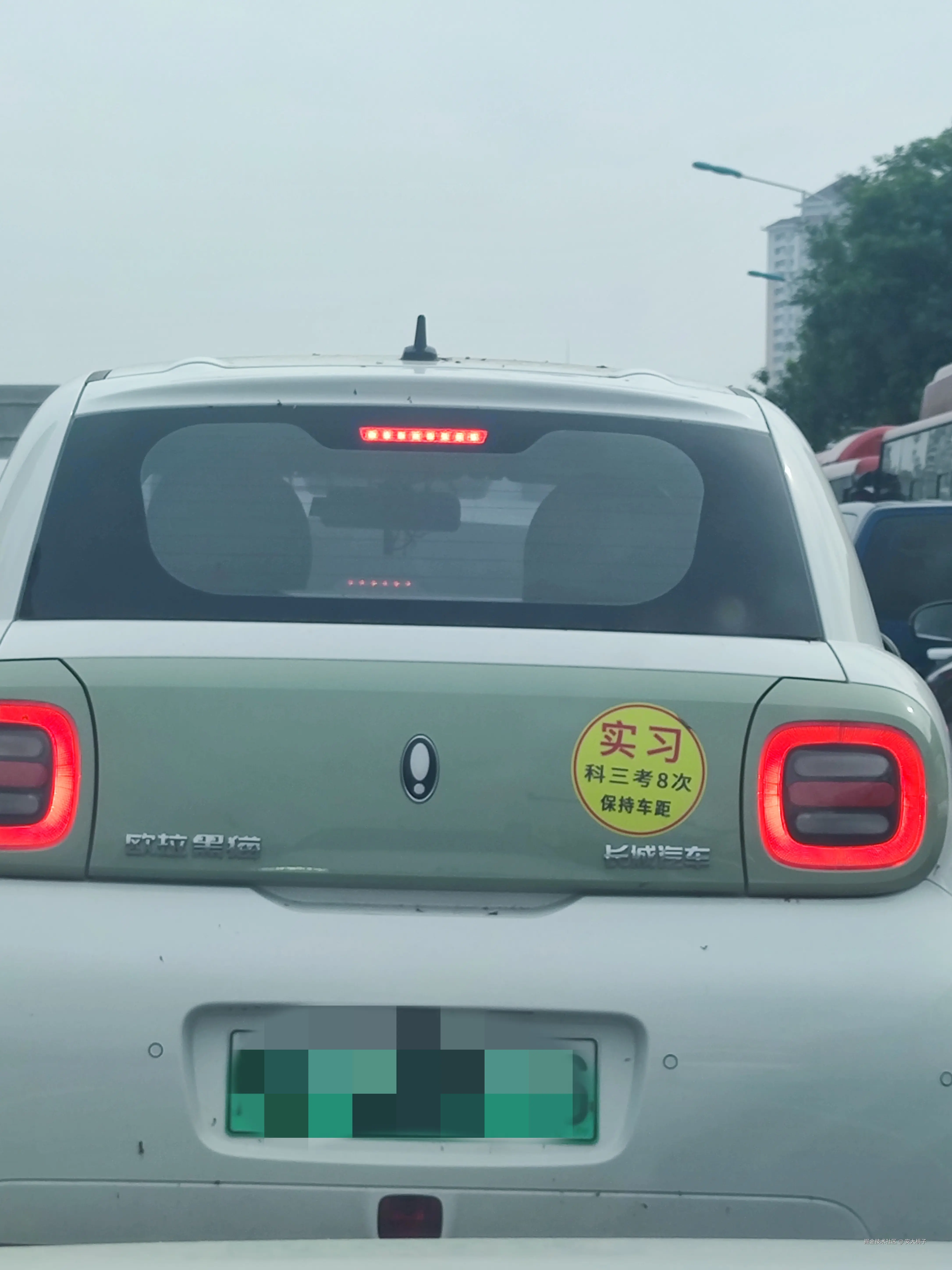 安大桃子于2024-08-09 14:33发布的图片