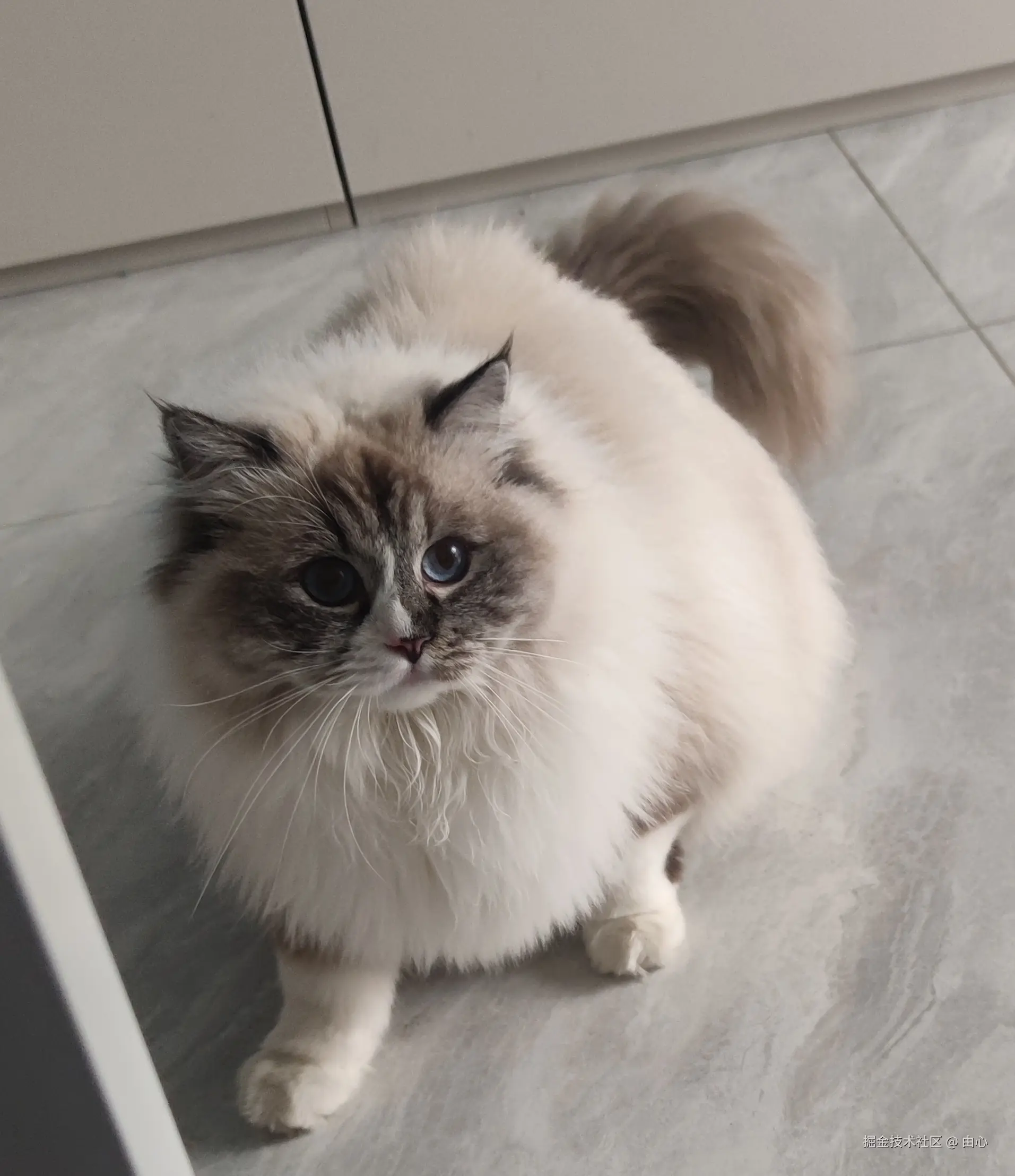 由心于2026-03-10 10:26发布的图片