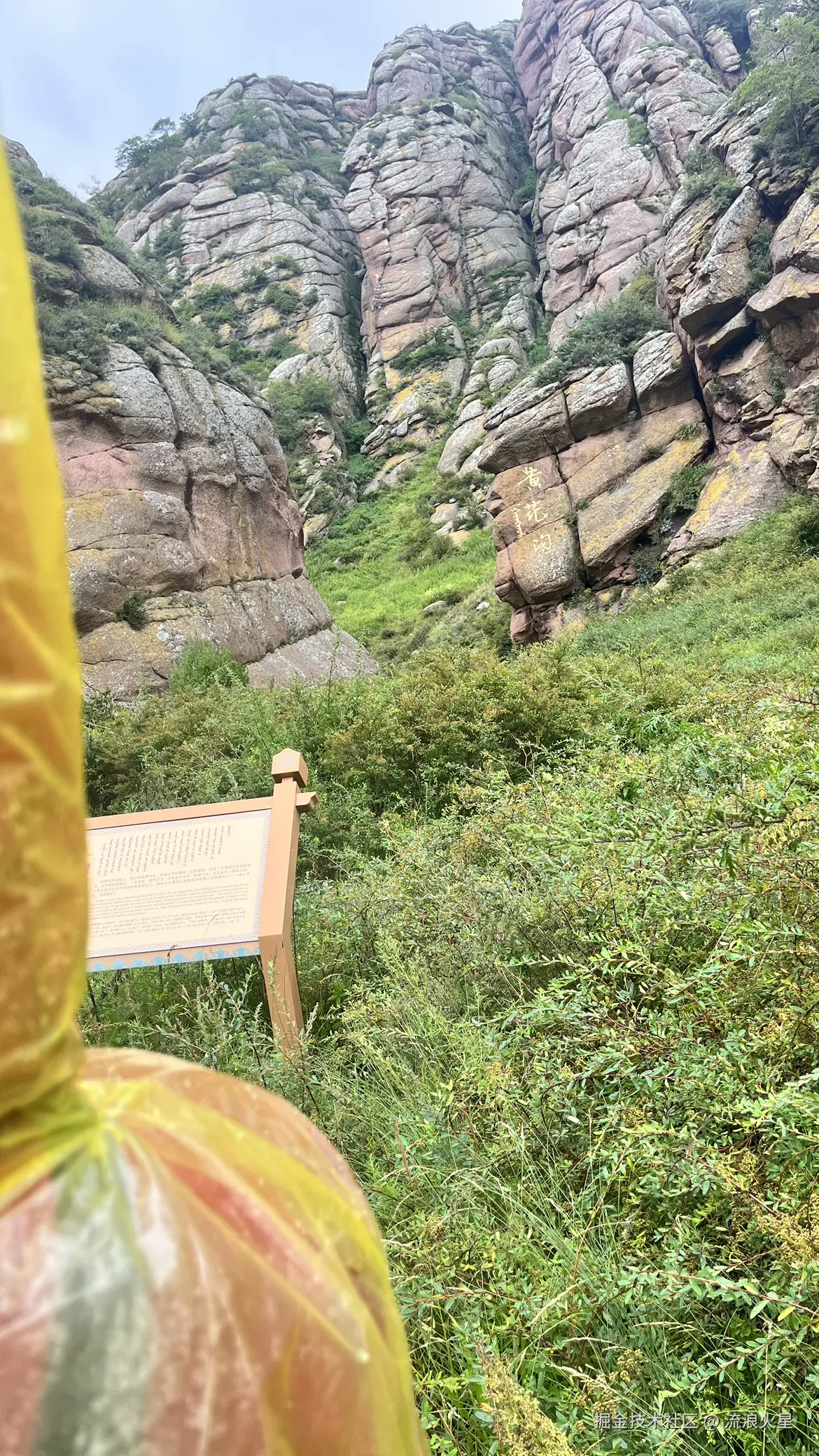 流浪火星于2024-08-19 14:12发布的图片