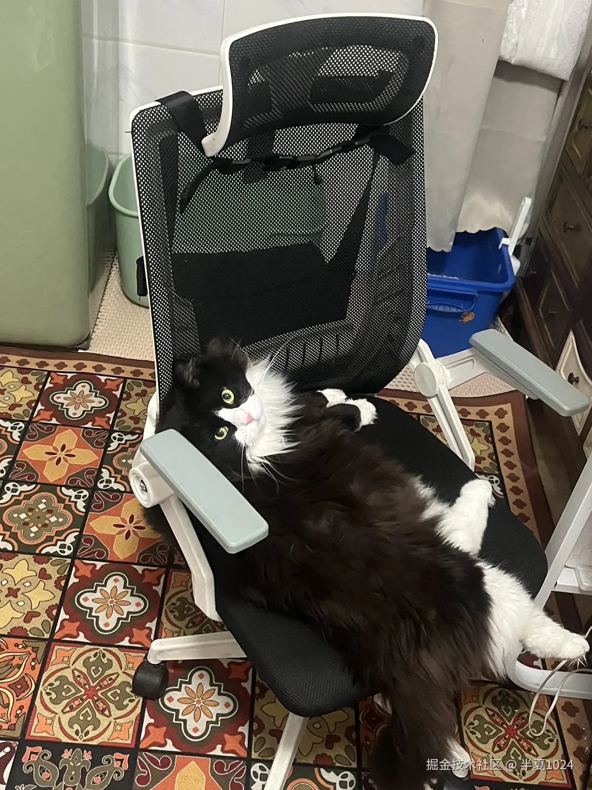 半夏1024于2025-01-16 14:14发布的图片