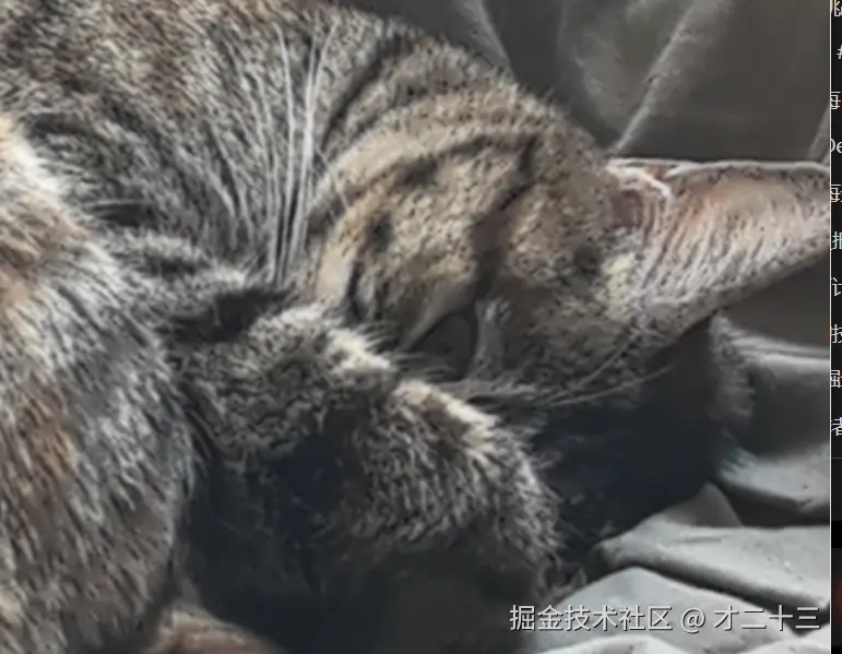 才二十三于2025-03-22 14:19发布的图片