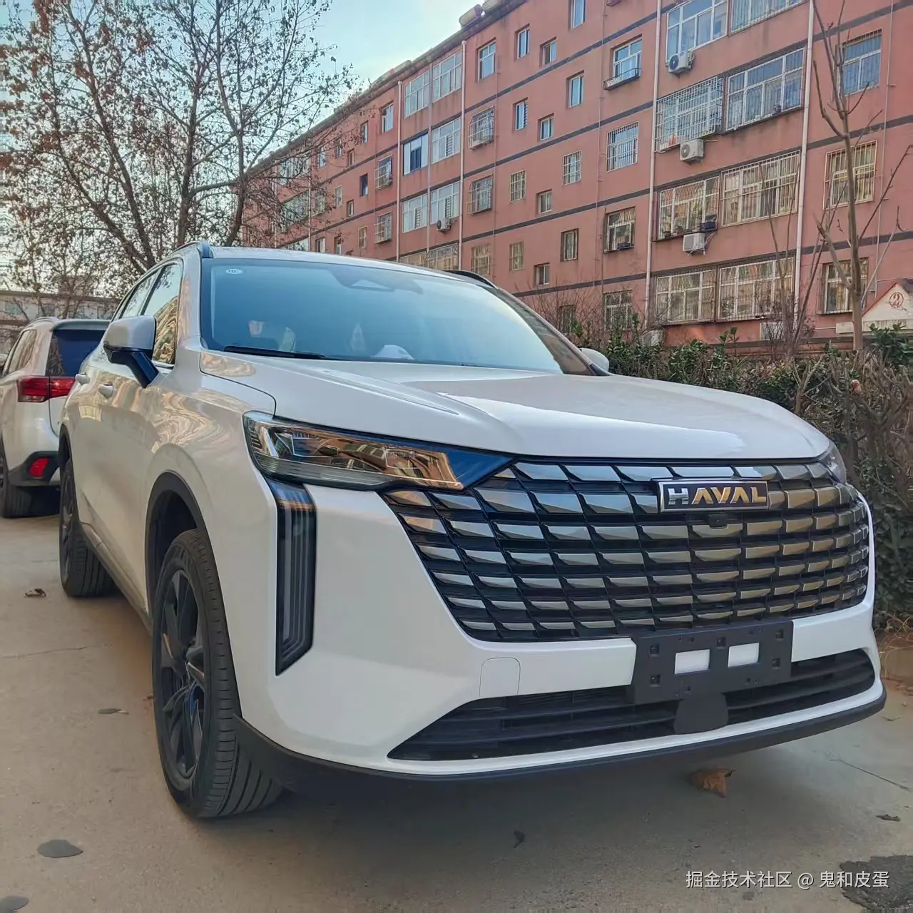 鬼和皮蛋于2025-02-27 15:52发布的图片