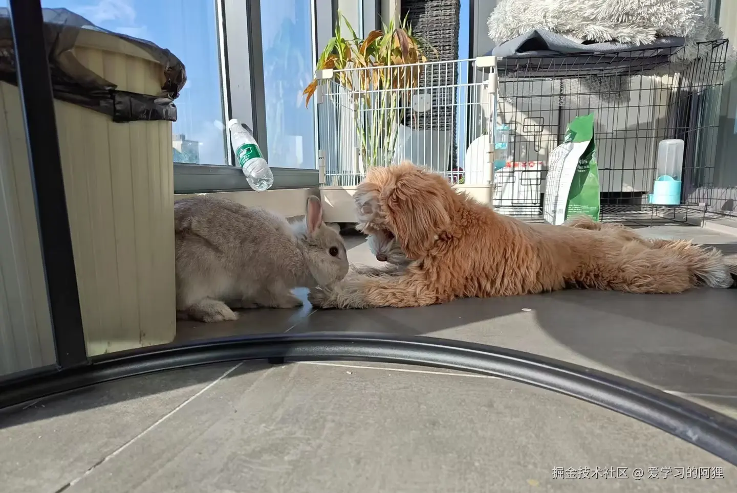 爱学习的阿狸于2025-12-04 15:03发布的图片