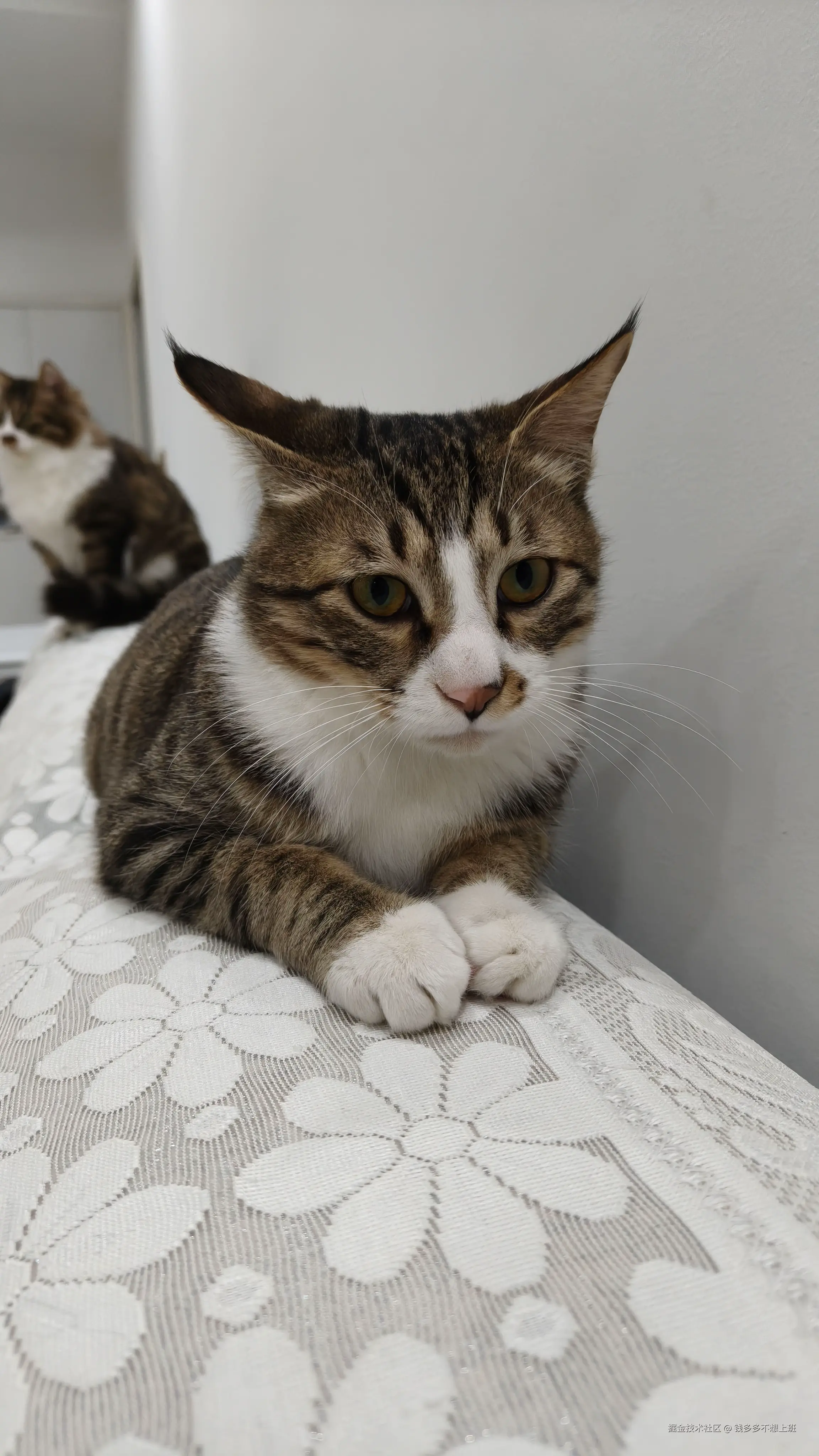 钱多多不想上班于2026-03-25 15:45发布的图片