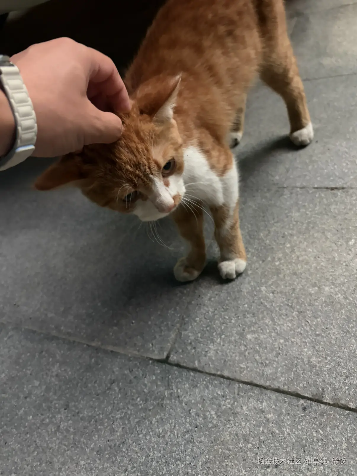 单纯_稀饭于2026-08-17 00:06发布的图片