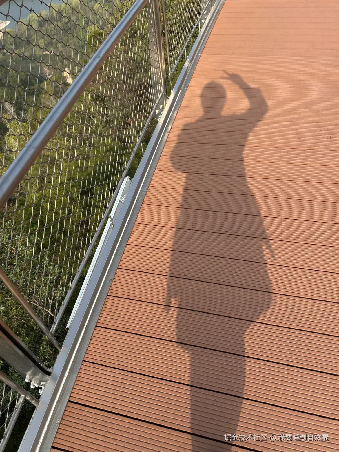 我要睡到自然醒于2026-01-26 10:23发布的图片