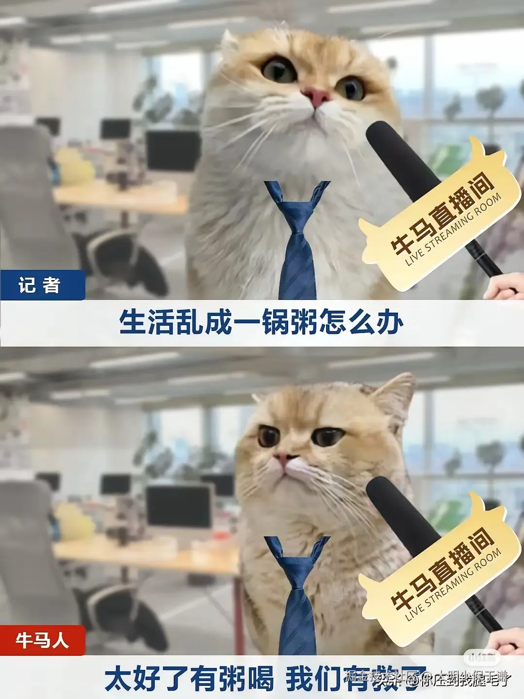 大明少保于谦于2025-04-27 09:32发布的图片