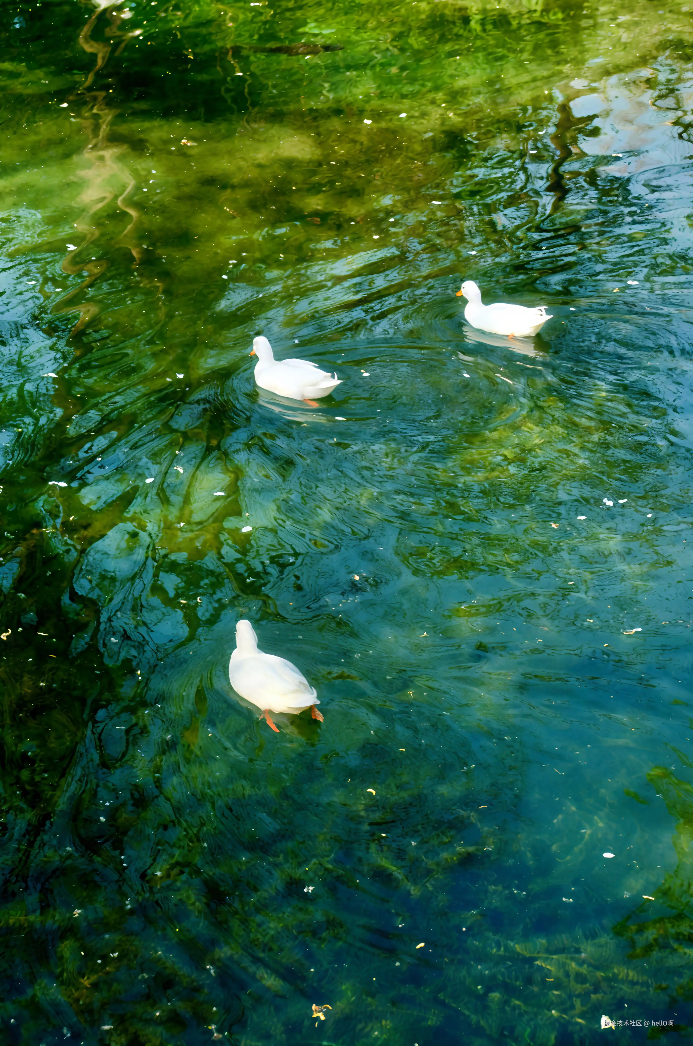 hellO啊于2025-07-15 10:53发布的图片