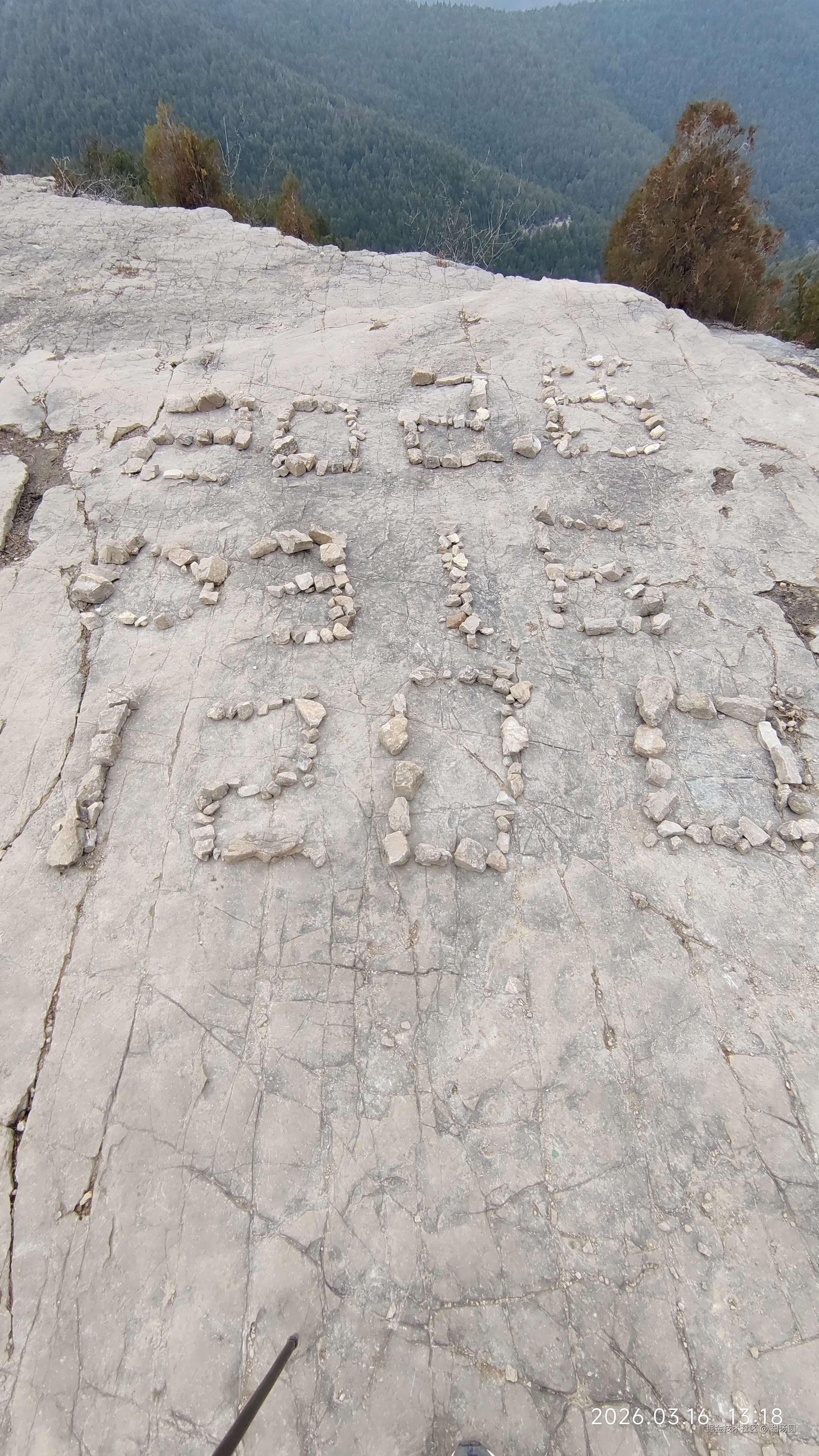 甜汤圆于2026-03-16 13:23发布的图片