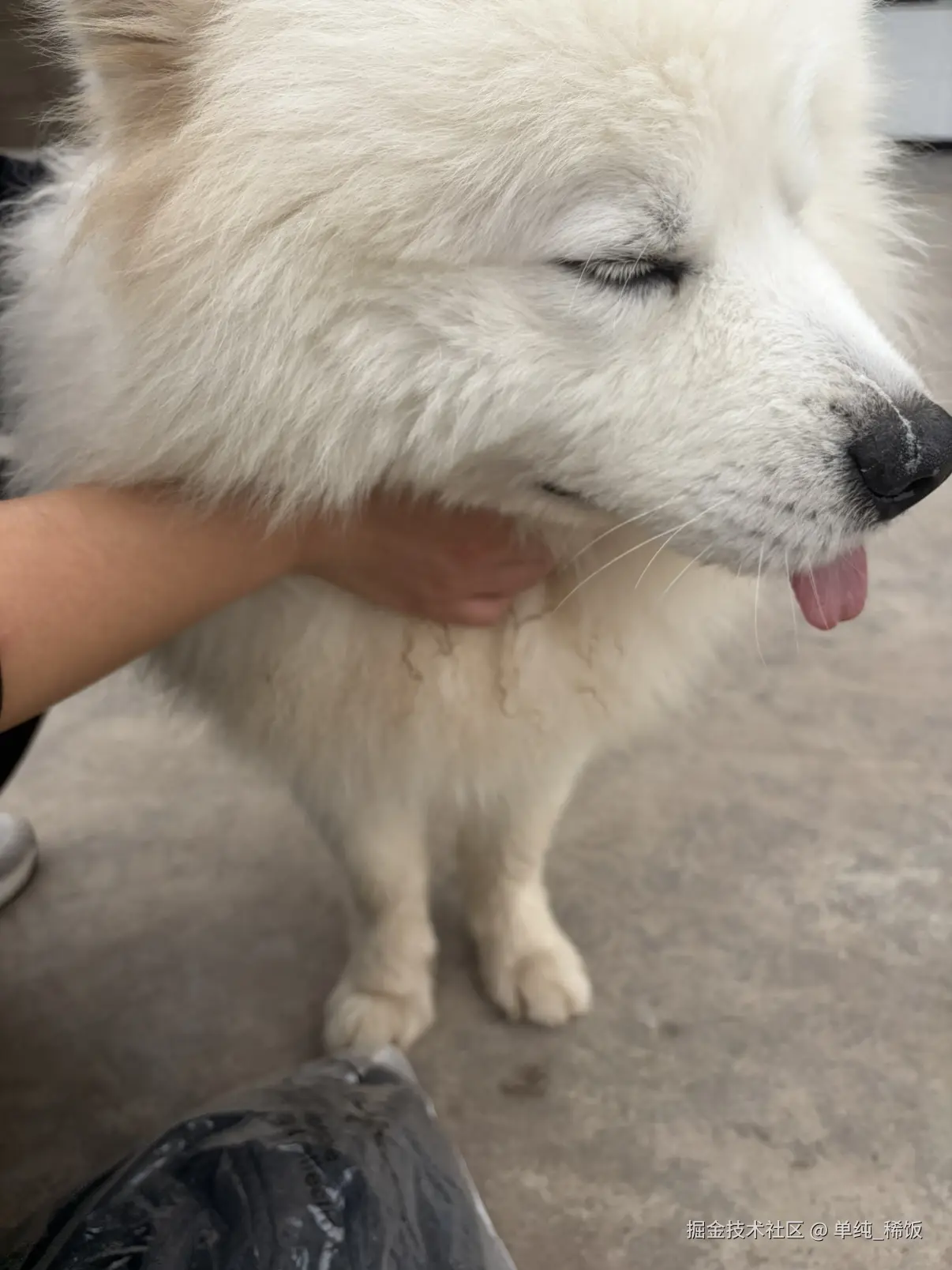 单纯_稀饭于2026-02-28 14:46发布的图片