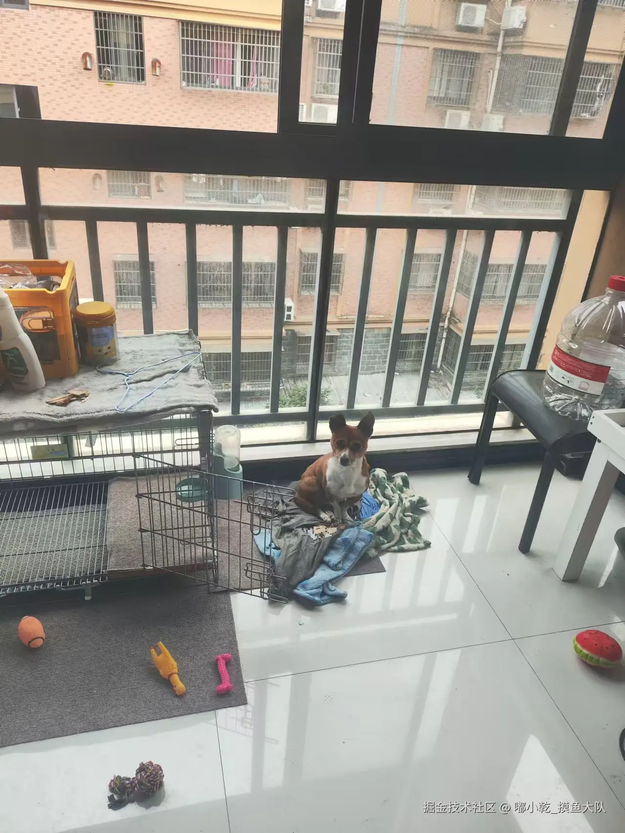 嘟小乾_摸鱼大队于2024-11-19 09:21发布的图片