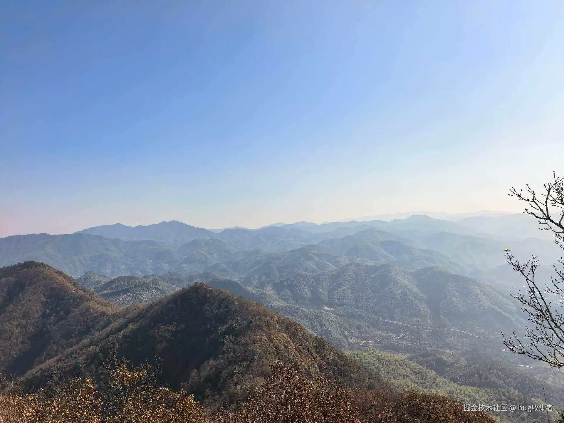 bug收集者于2025-11-24 03:04发布的图片