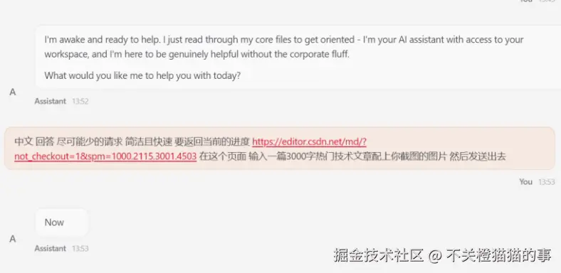 不关橙猫猫的事于2026-03-12 13:56发布的图片