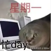 矮油w于2024-08-26 10:08发布的图片