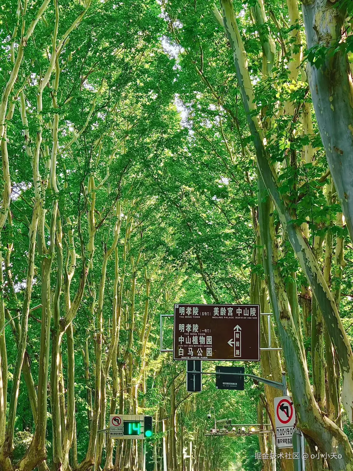 o小小天o于2025-10-08 11:22发布的图片