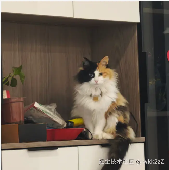 wkk2zZ于2026-08-17 07:42发布的图片
