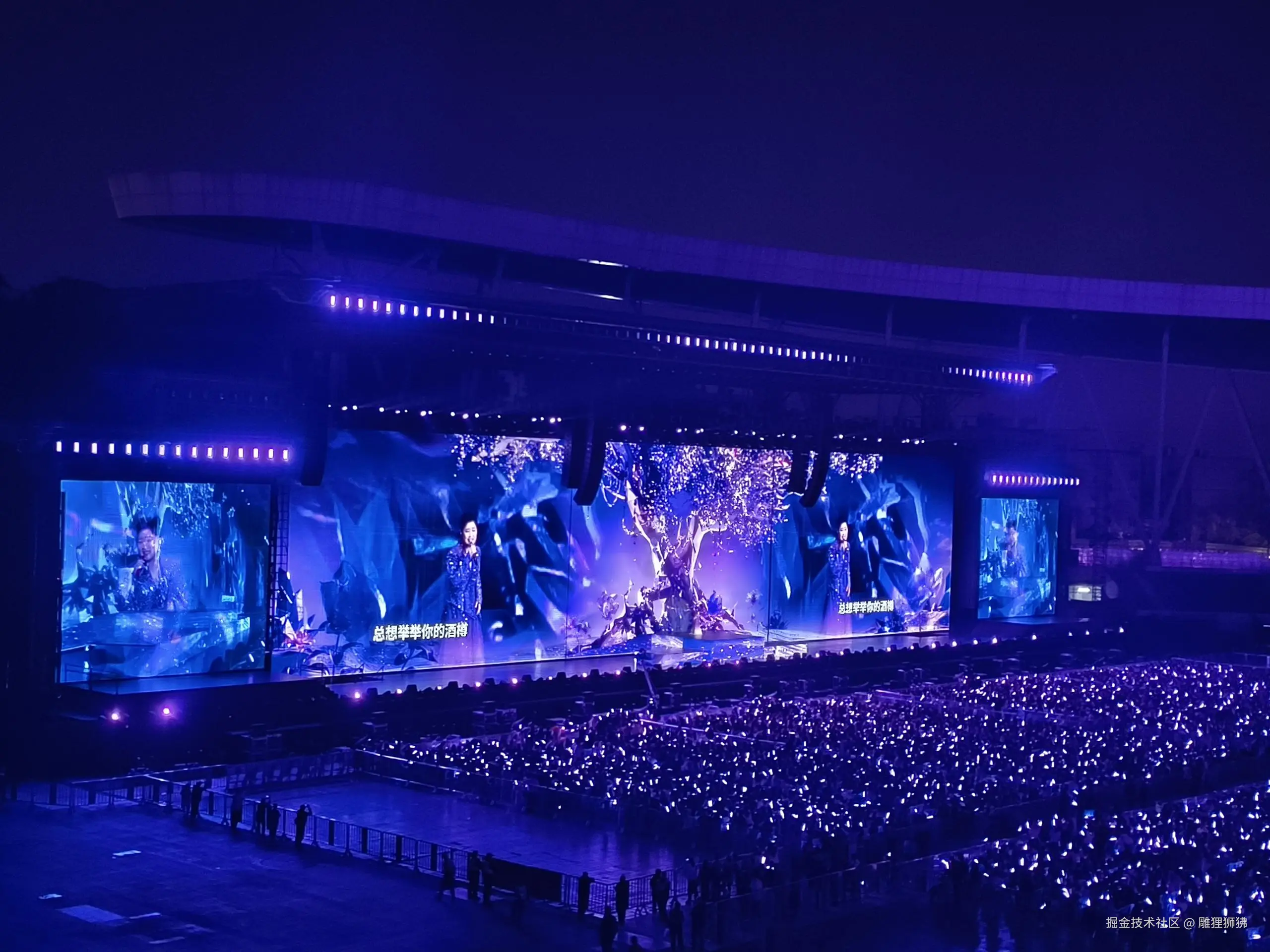 雕狸狮狒于2025-01-02 11:59发布的图片