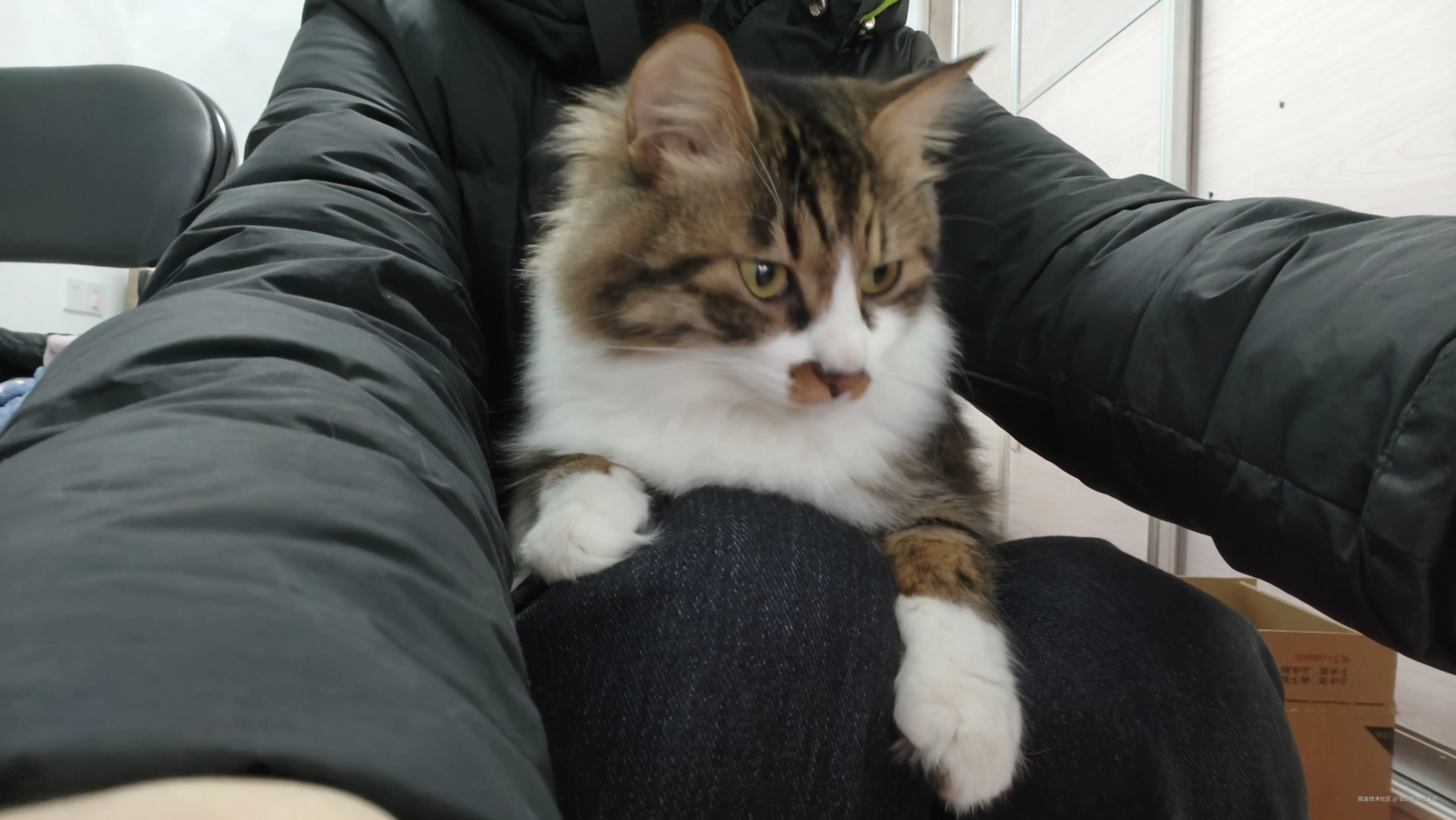 钱多多不想上班于2026-01-21 10:58发布的图片