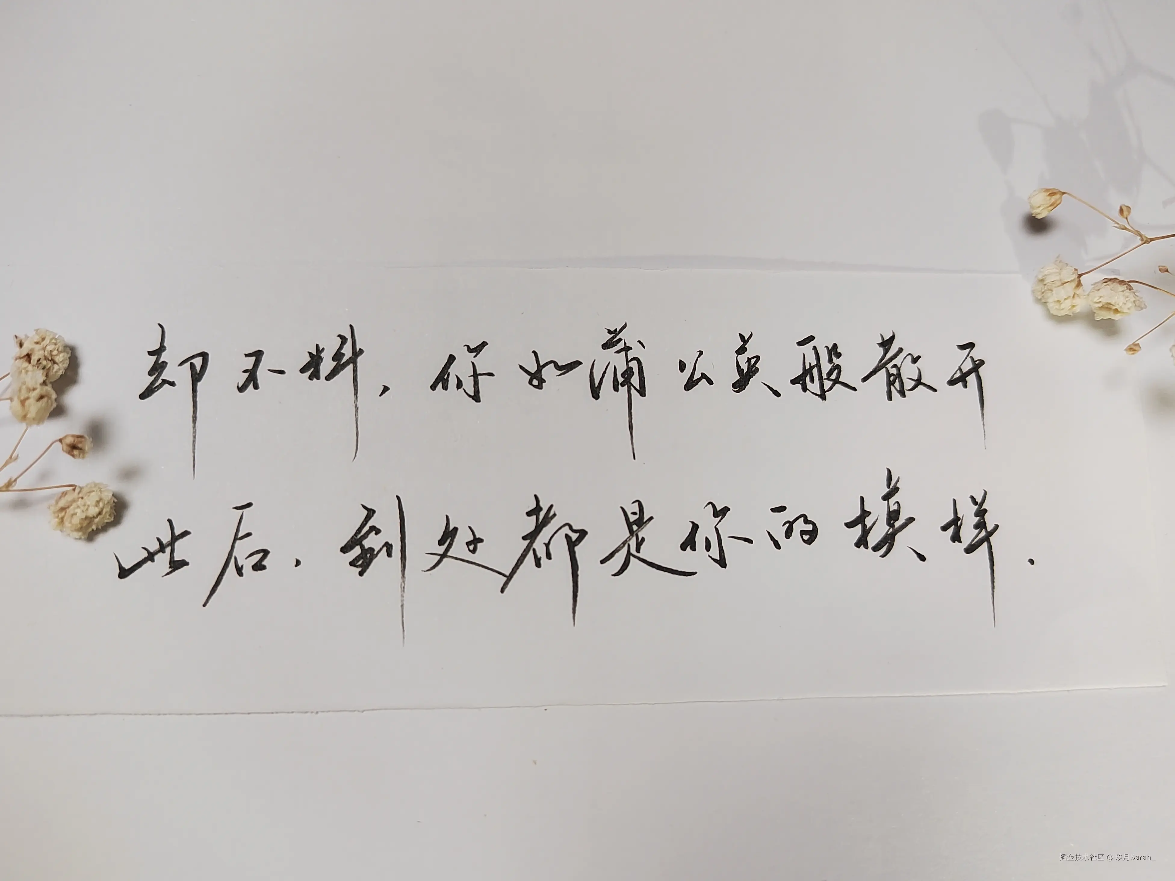 玖月Sarah_于2024-10-30 13:56发布的图片