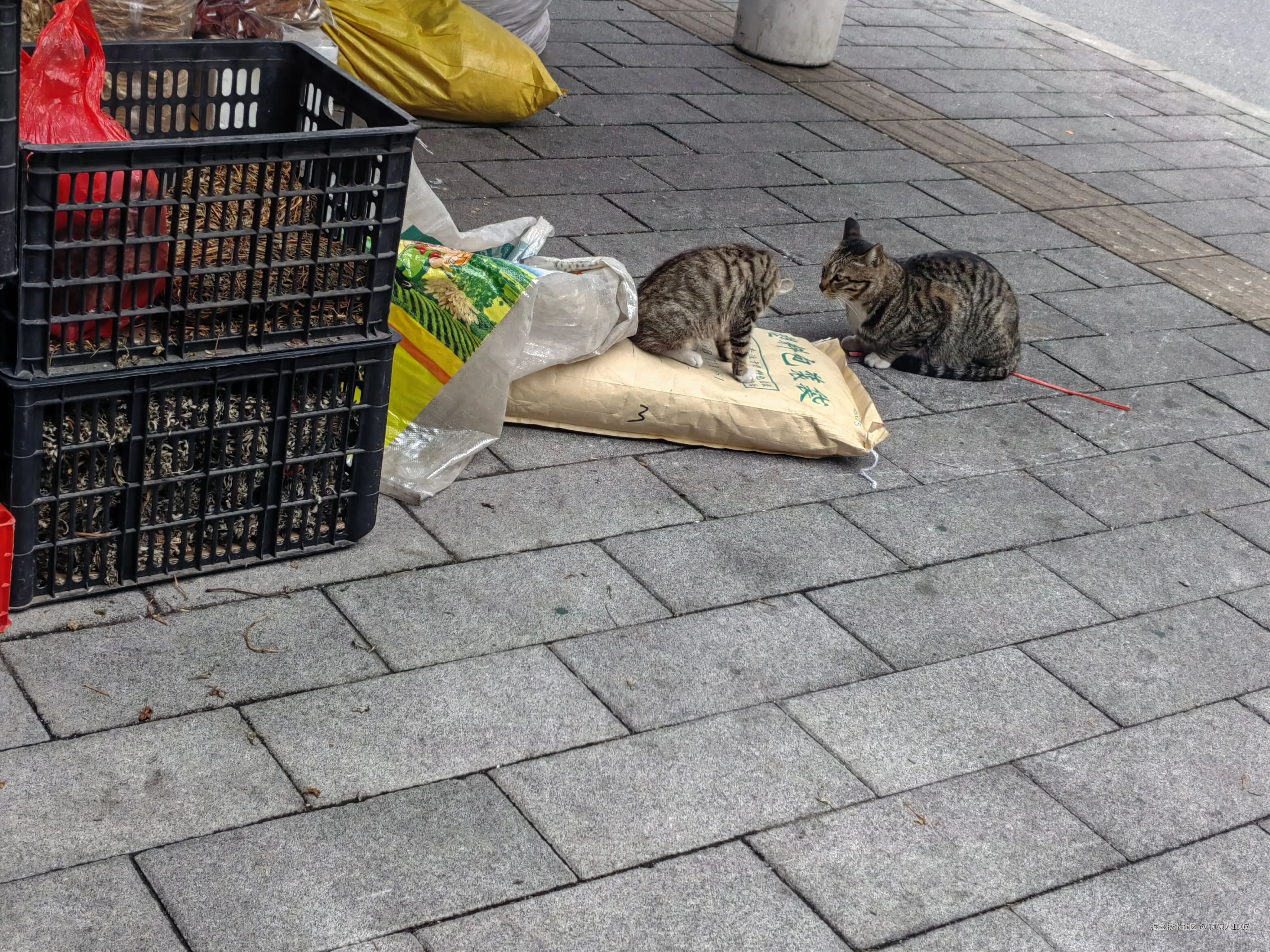 顶碗人1007于2025-04-11 03:35发布的图片