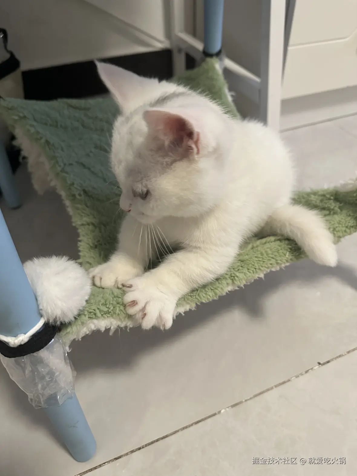 就爱吃火锅于2025-04-07 13:37发布的图片