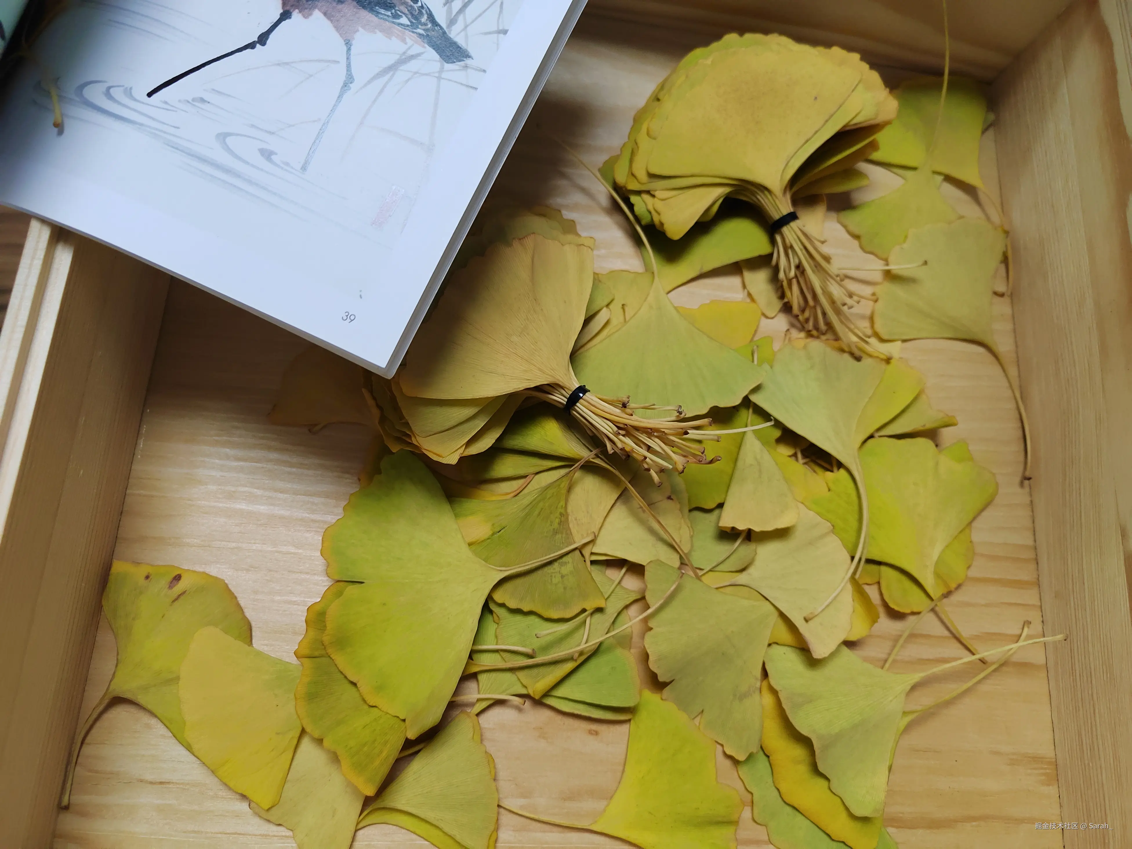 Sarah_于2024-10-30 05:56发布的图片