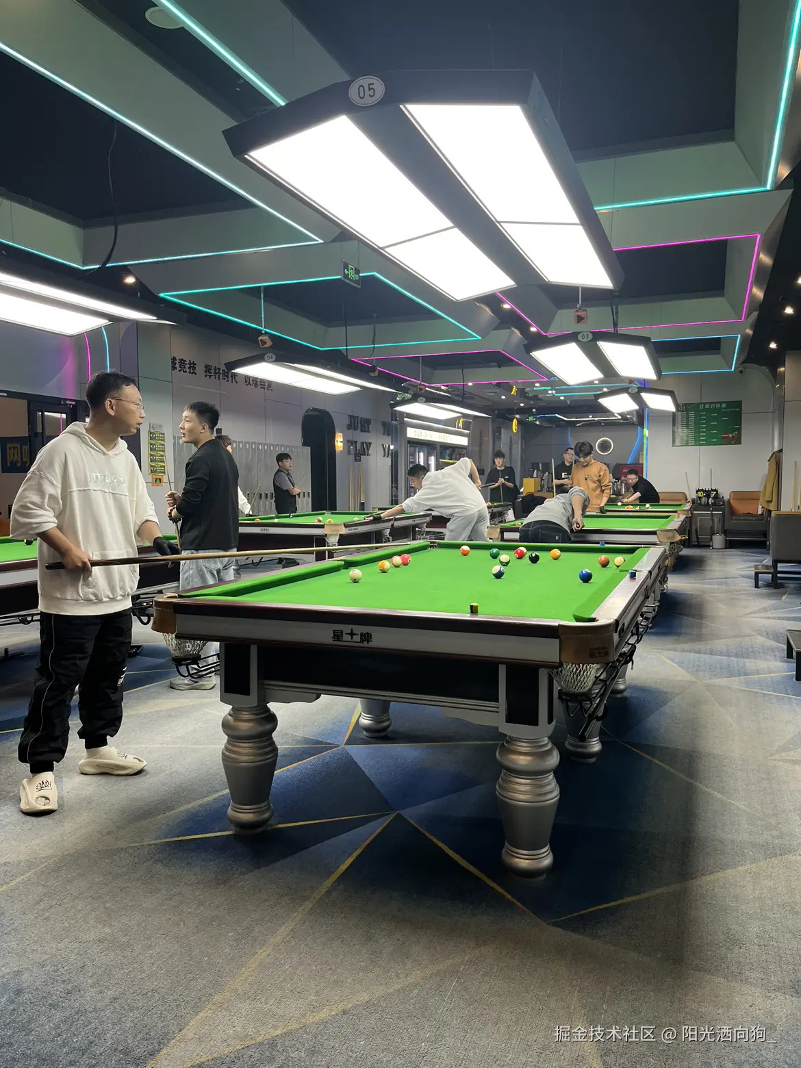 阳光洒向狗_于2024-11-04 10:32发布的图片