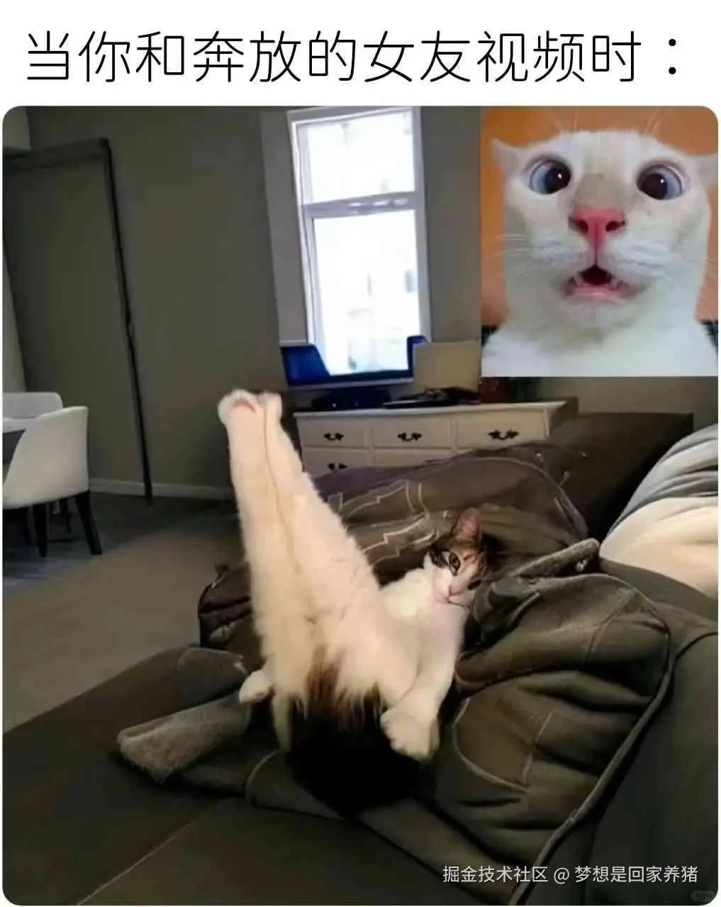 梦想是回家养猪于2025-02-28 10:42发布的图片