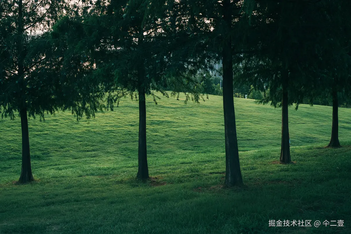 仐二壹于2025-08-04 16:32发布的图片