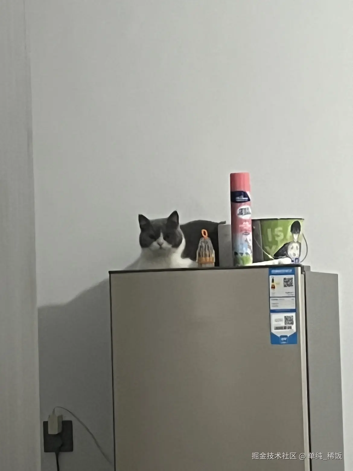 单纯_稀饭于2024-12-05 07:54发布的图片