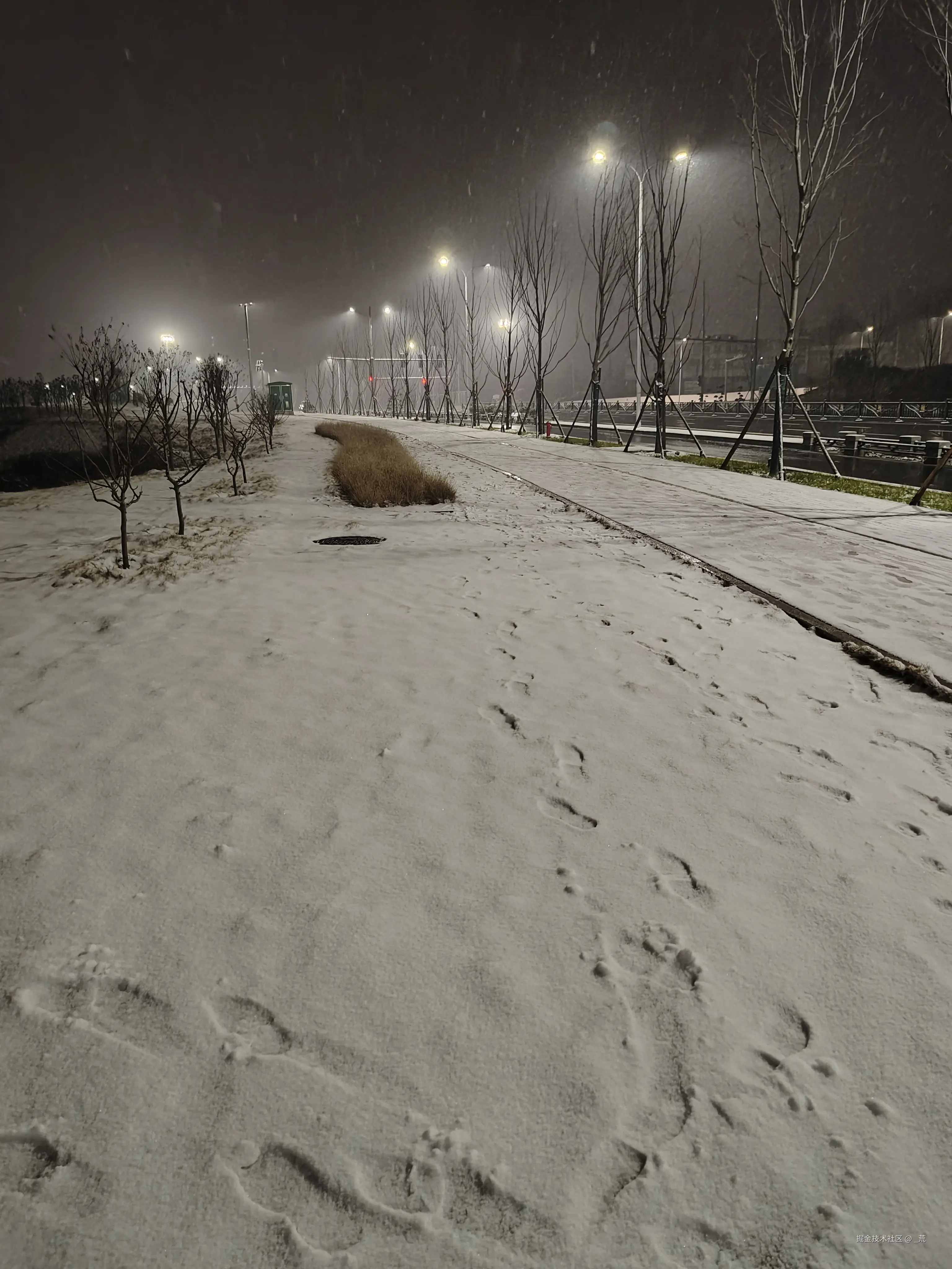 _荒于2025-01-31 23:15发布的图片