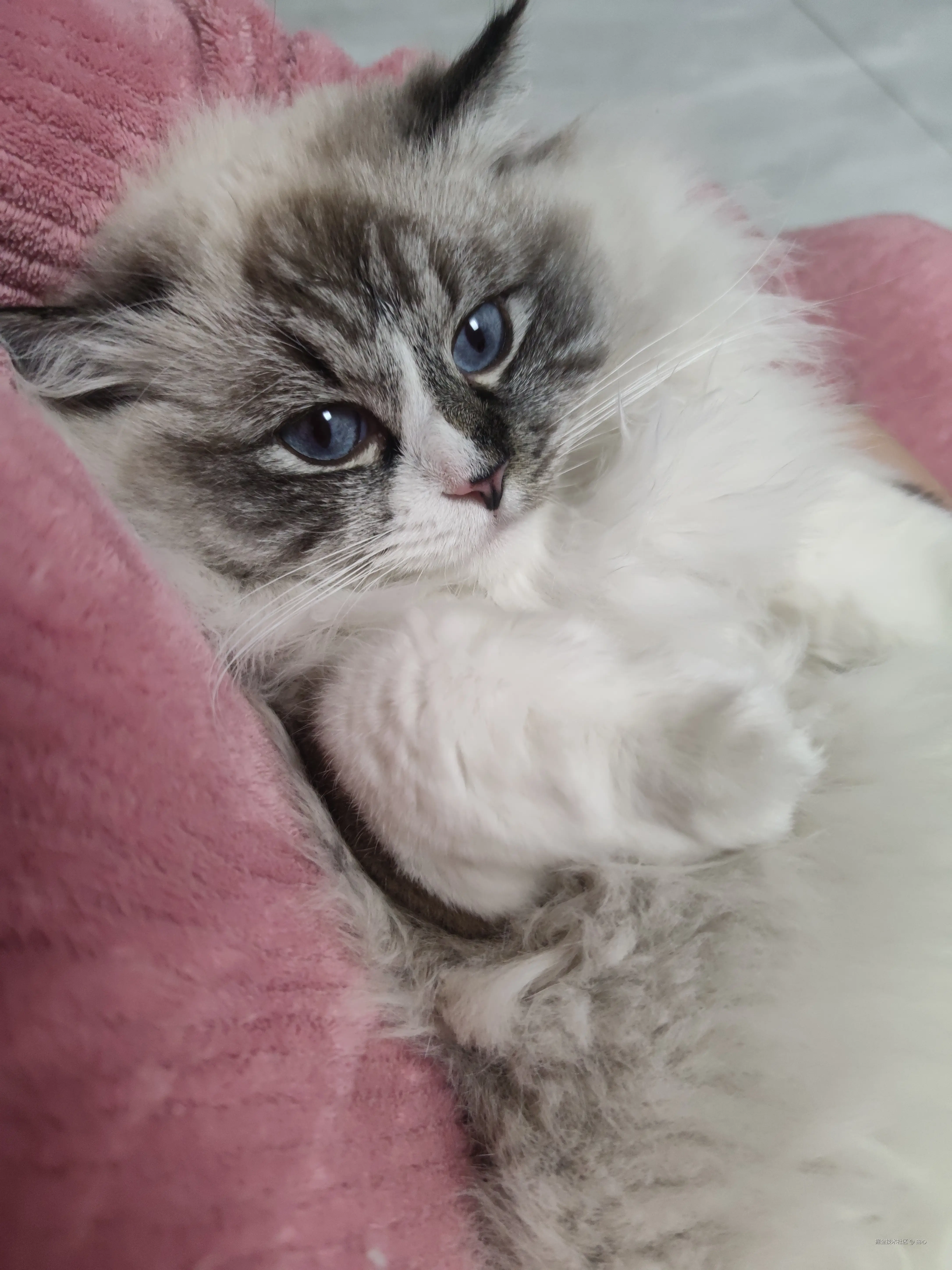 由心于2026-03-10 10:26发布的图片