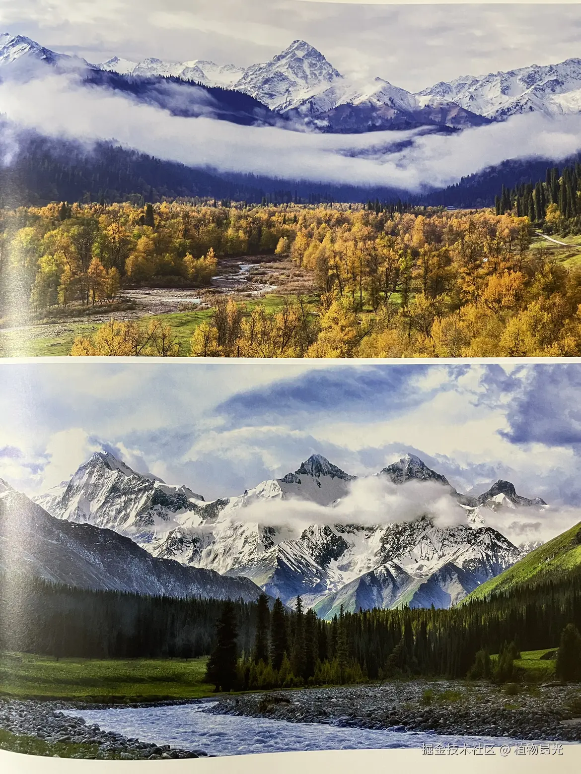 植物昂光于2026-03-18 21:15发布的图片