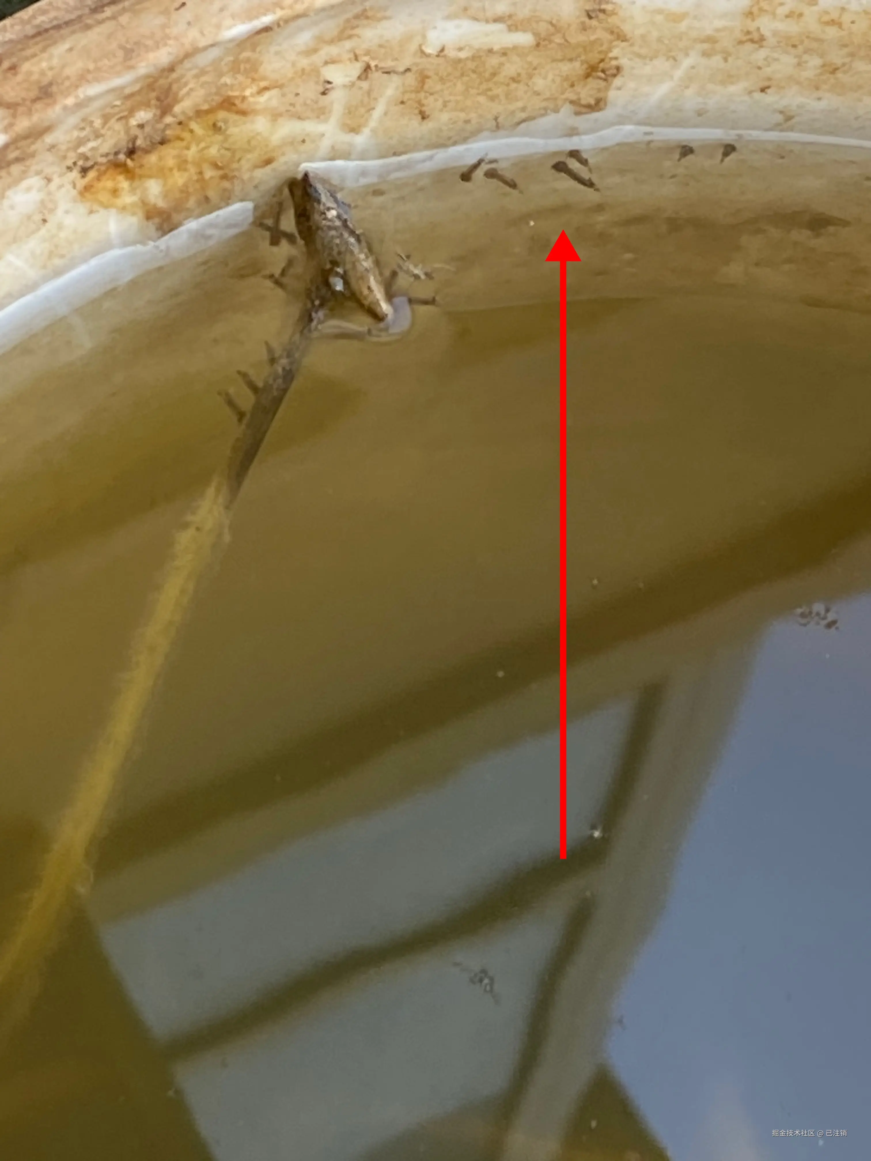 已注销于2025-05-26 16:34发布的图片