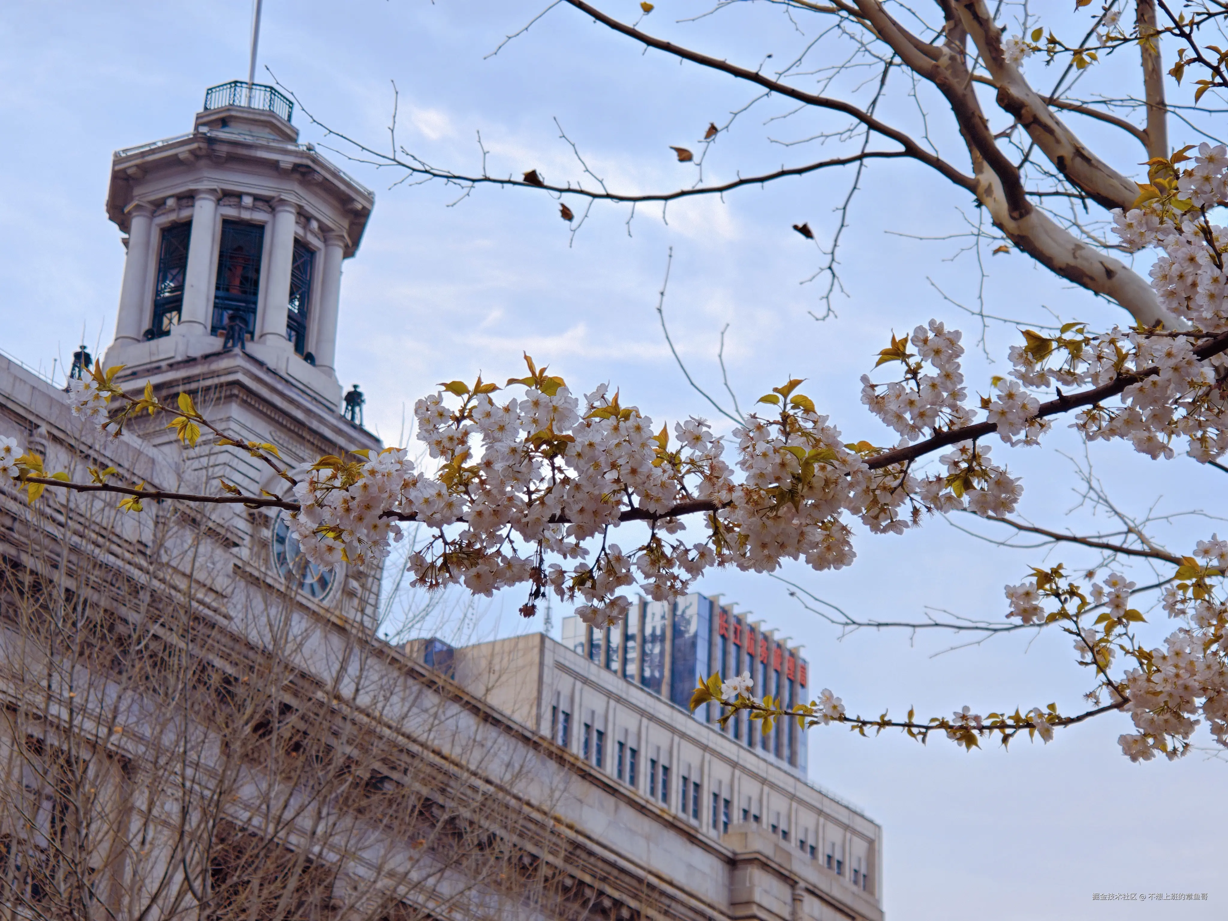 不想上班的章鱼哥于2025-03-21 15:03发布的图片