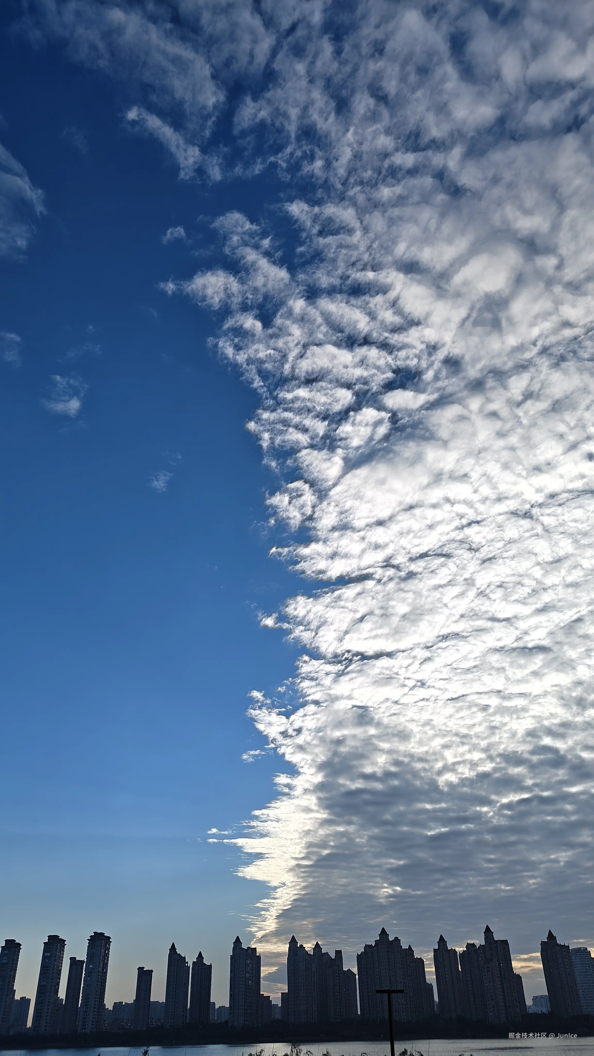 JunIce于2025-11-25 15:19发布的图片