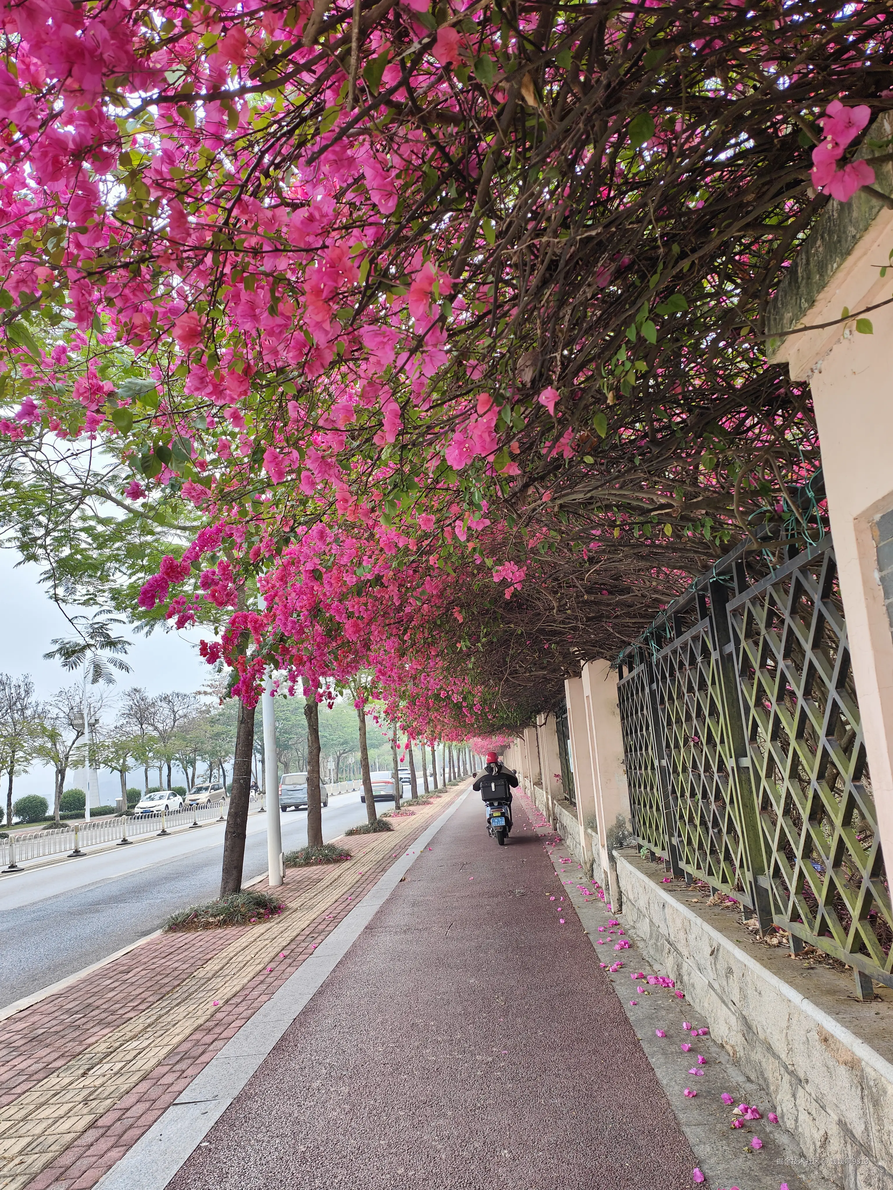 媛媛啊9813于2026-03-28 23:19发布的图片