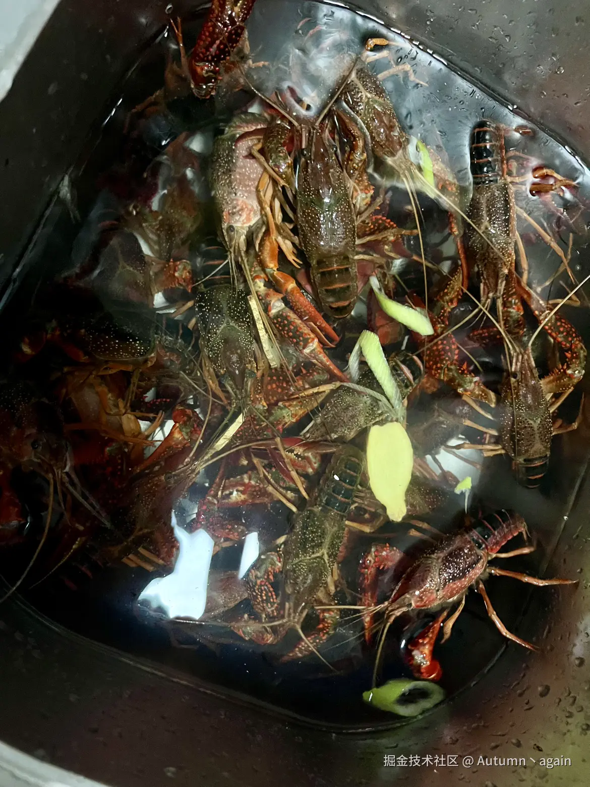 Autumn丶again于2025-08-12 11:15发布的图片