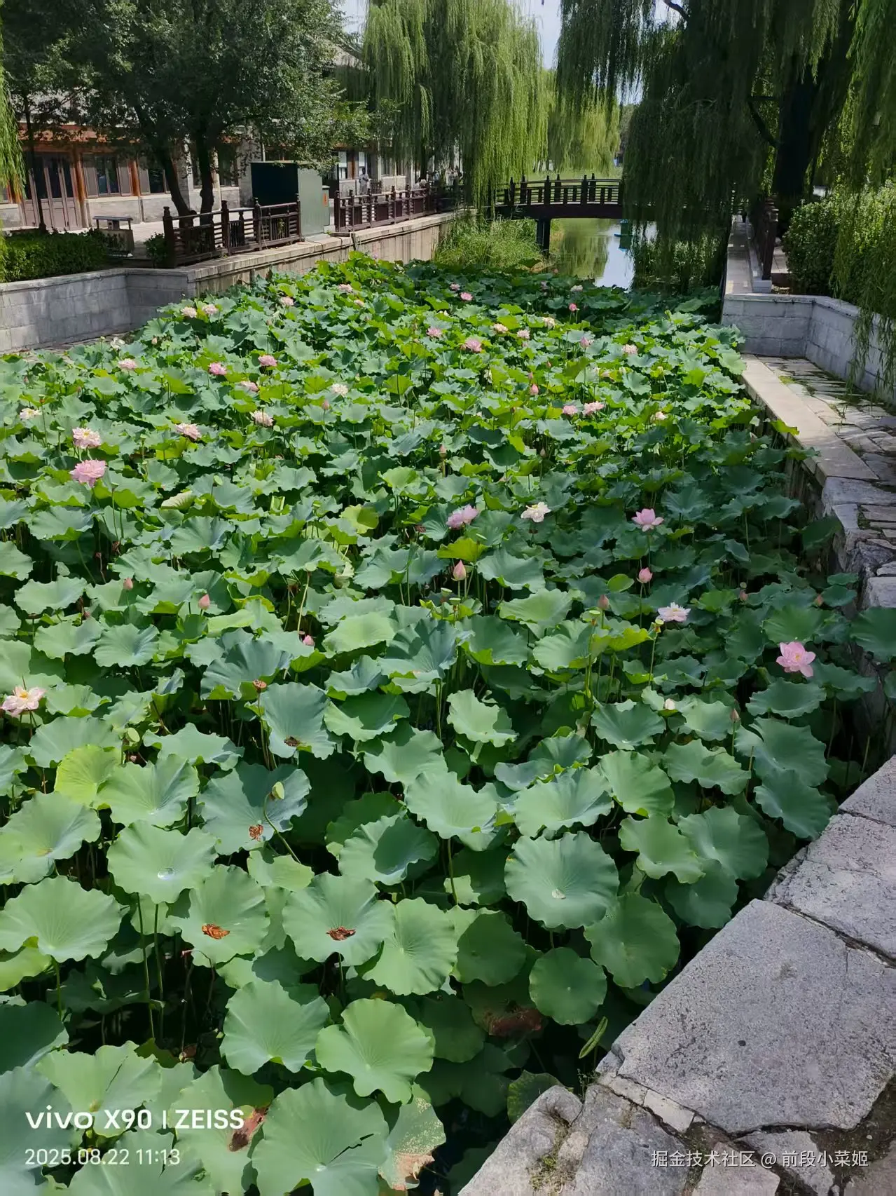 前段小菜姬于2025-08-22 06:06发布的图片