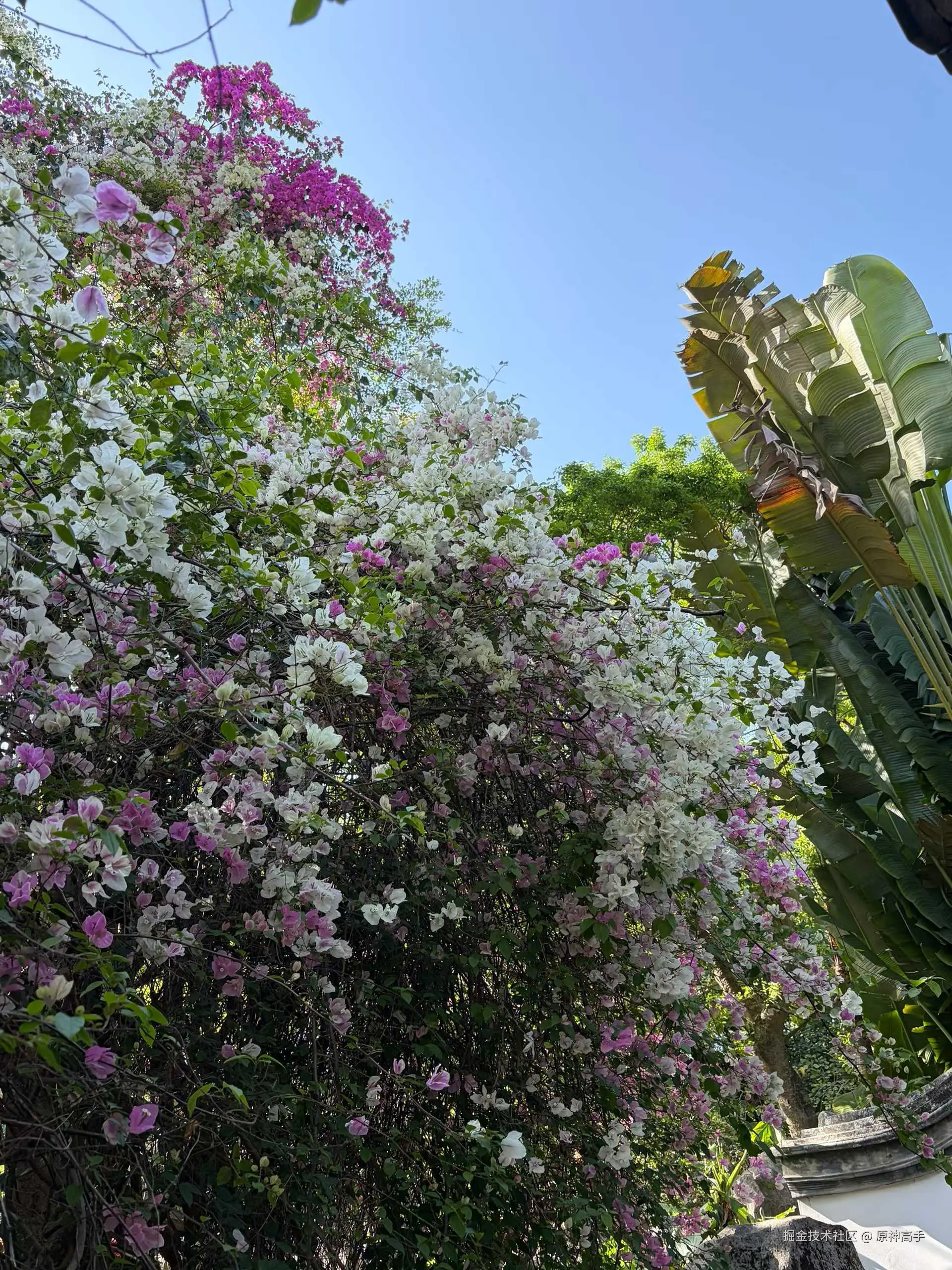 原神高手于2026-03-16 09:29发布的图片