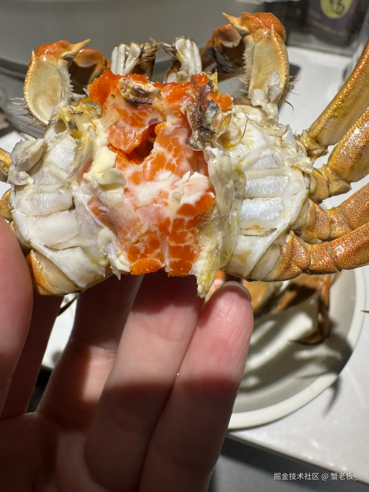 蟹老板_于2025-10-27 08:46发布的图片