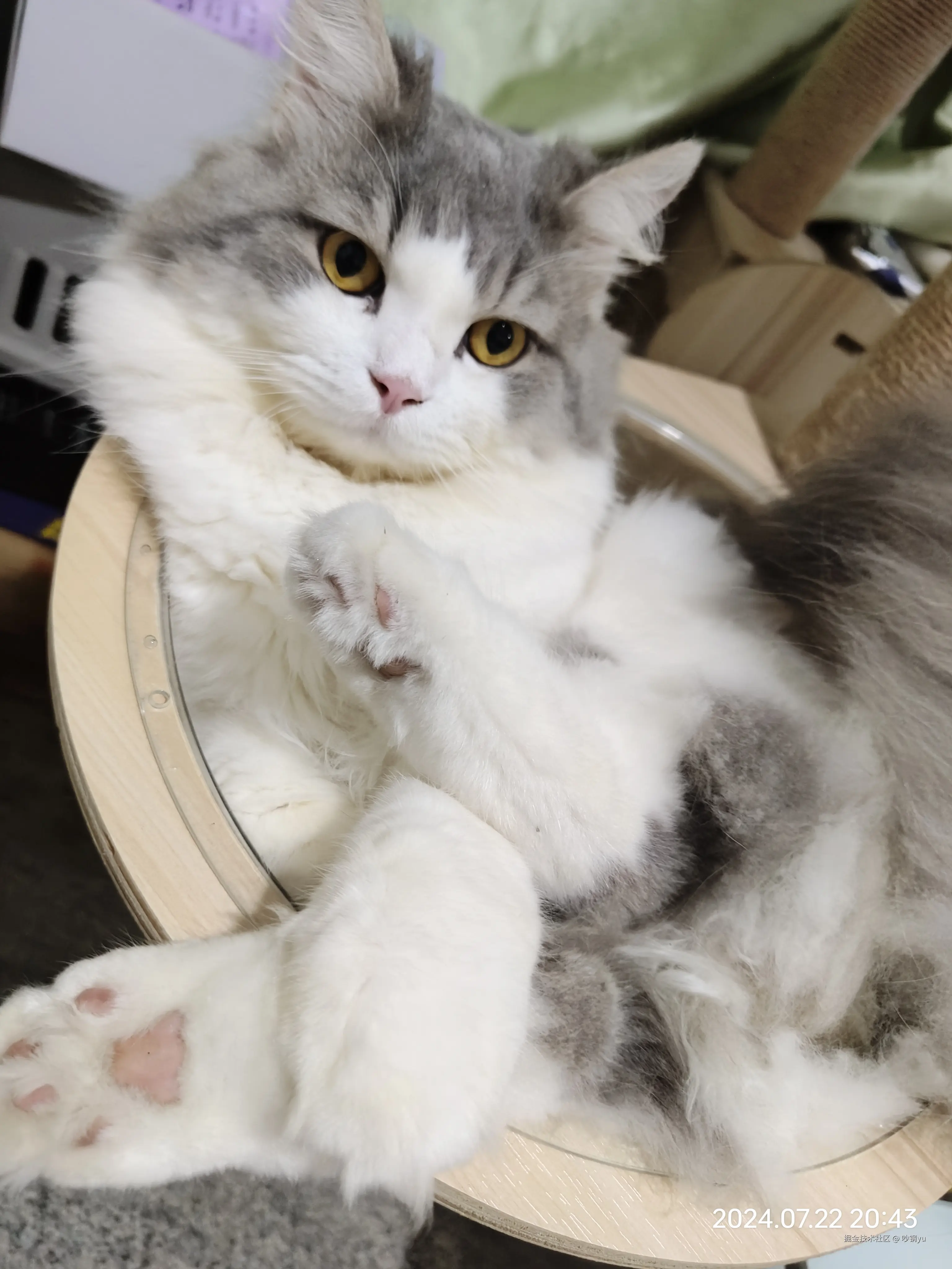 吵钢yu于2024-07-27 15:44发布的图片