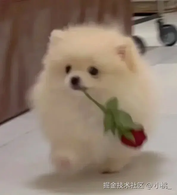 小桃_于2025-12-25 13:28发布的图片