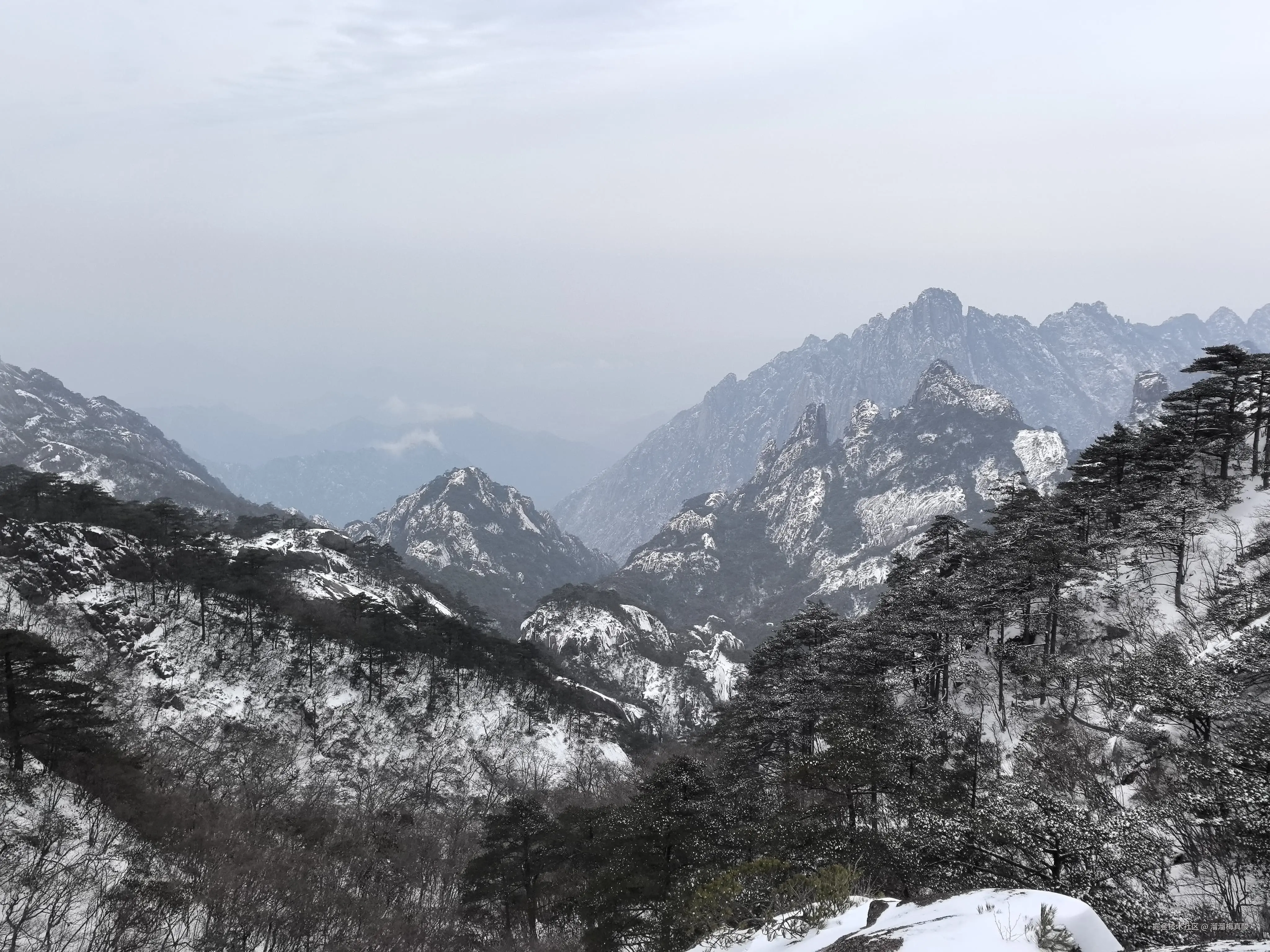 溜溜梅真酸于2025-04-02 13:16发布的图片