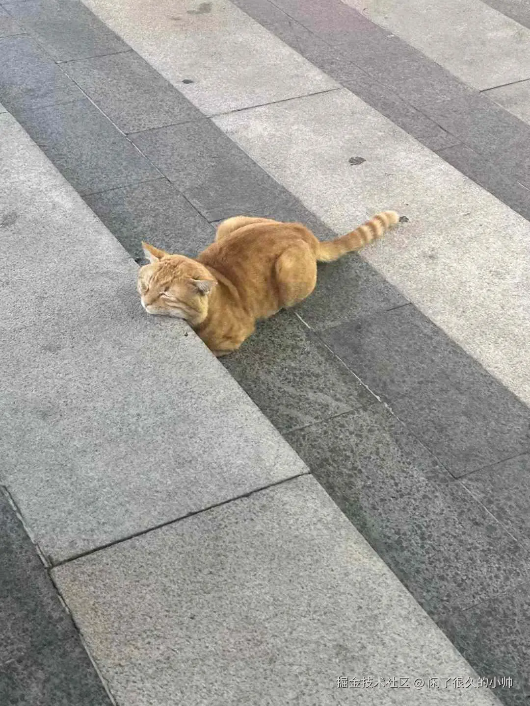 闲了很久的小帅于2024-10-25 15:32发布的图片