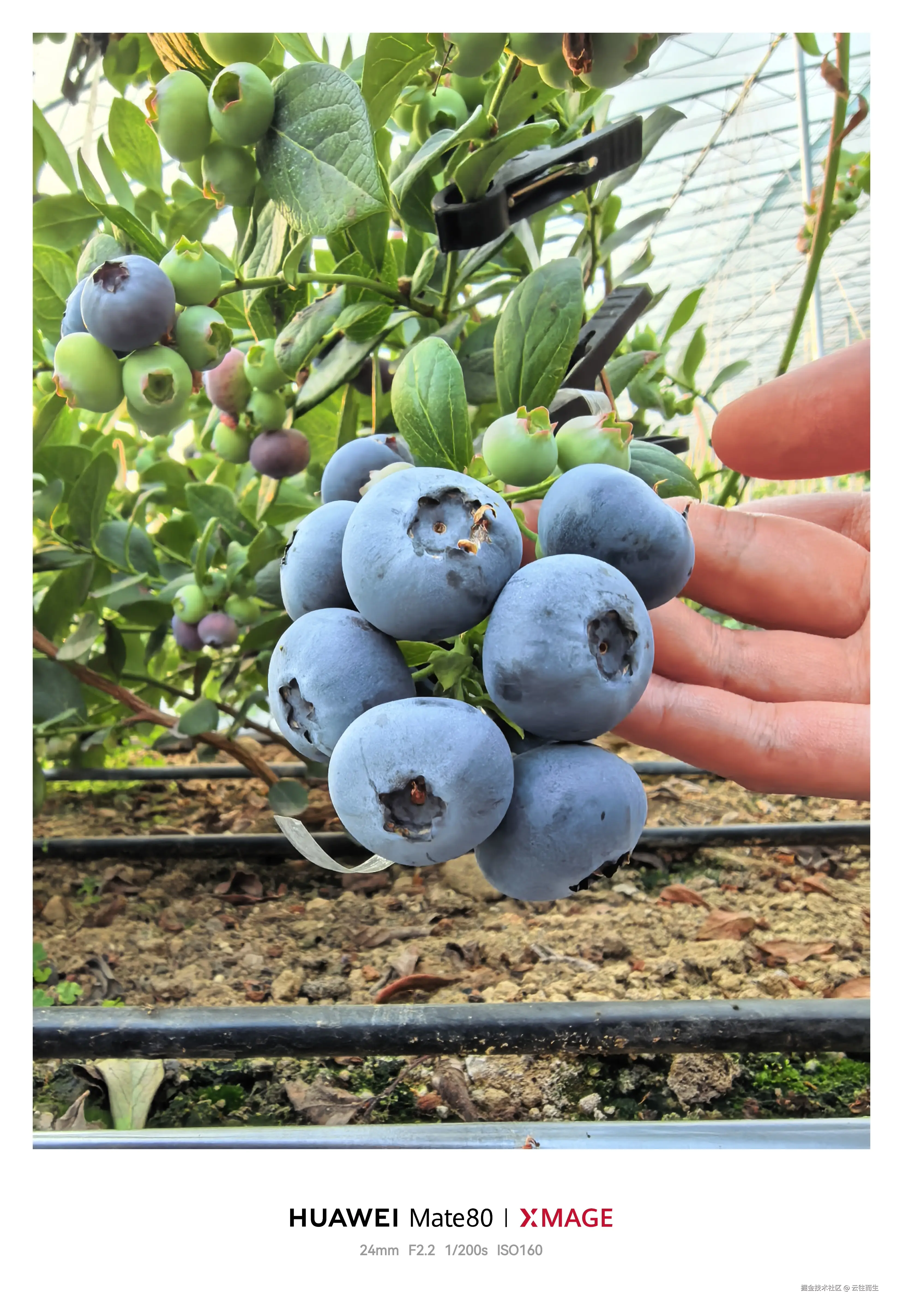 云往而生于2026-02-26 17:15发布的图片