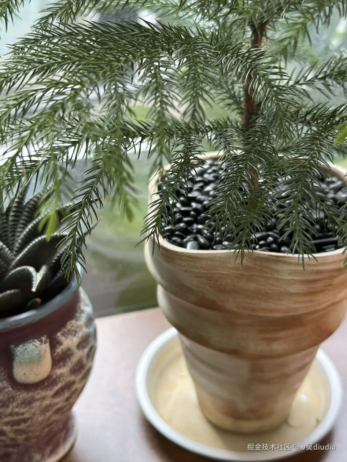 v吴diudiu于2025-08-24 14:11发布的图片