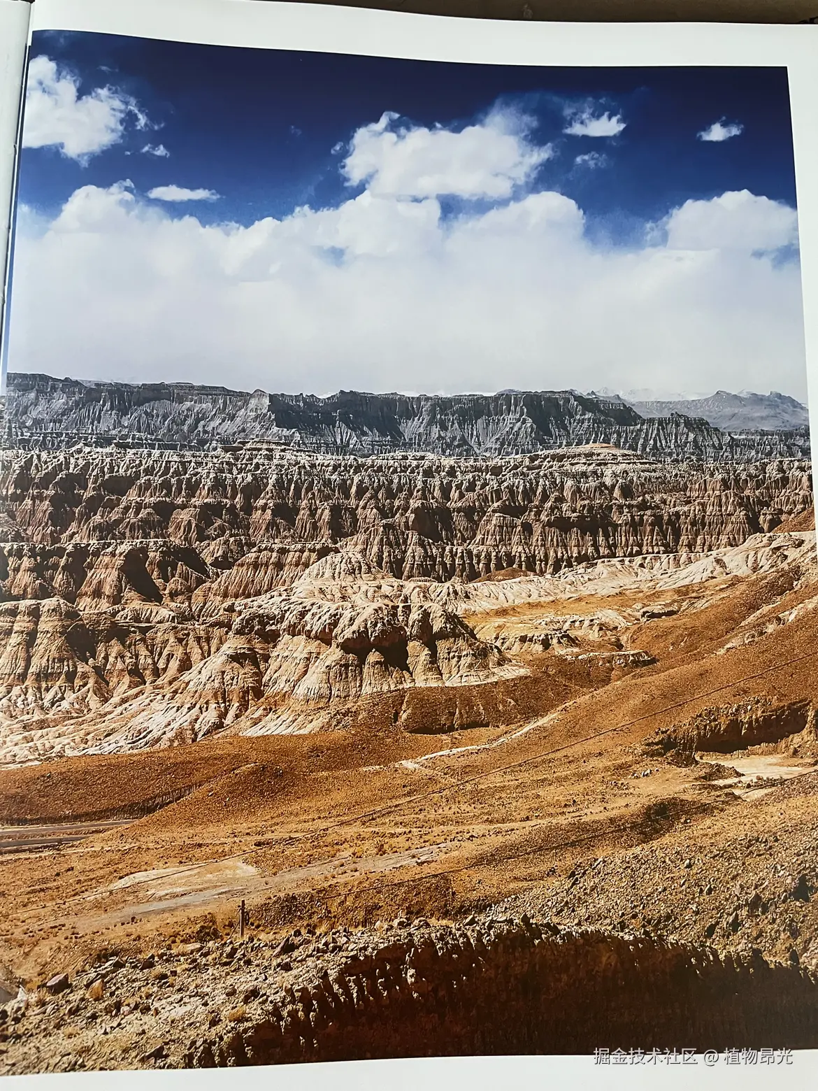 植物昂光于2026-03-01 14:21发布的图片