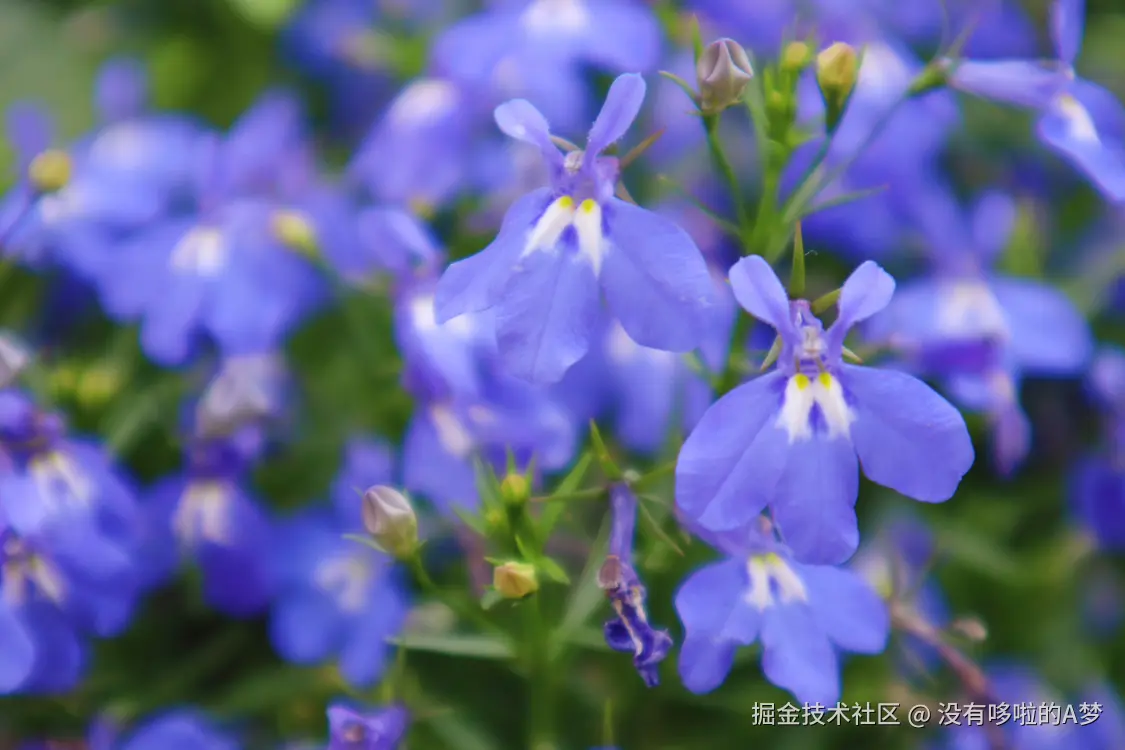 没有哆啦的A梦于2025-03-27 13:46发布的图片