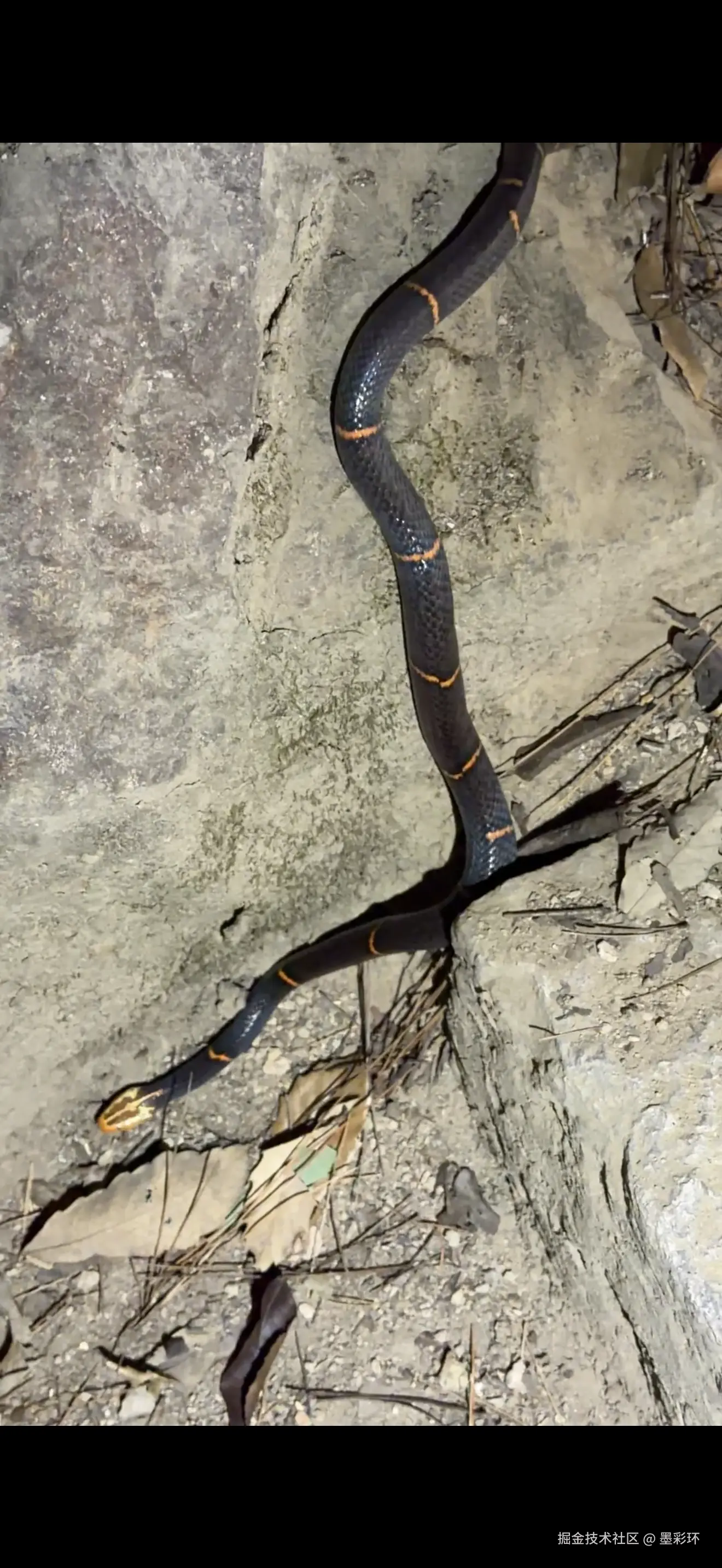 墨彩环于2025-12-03 08:37发布的图片